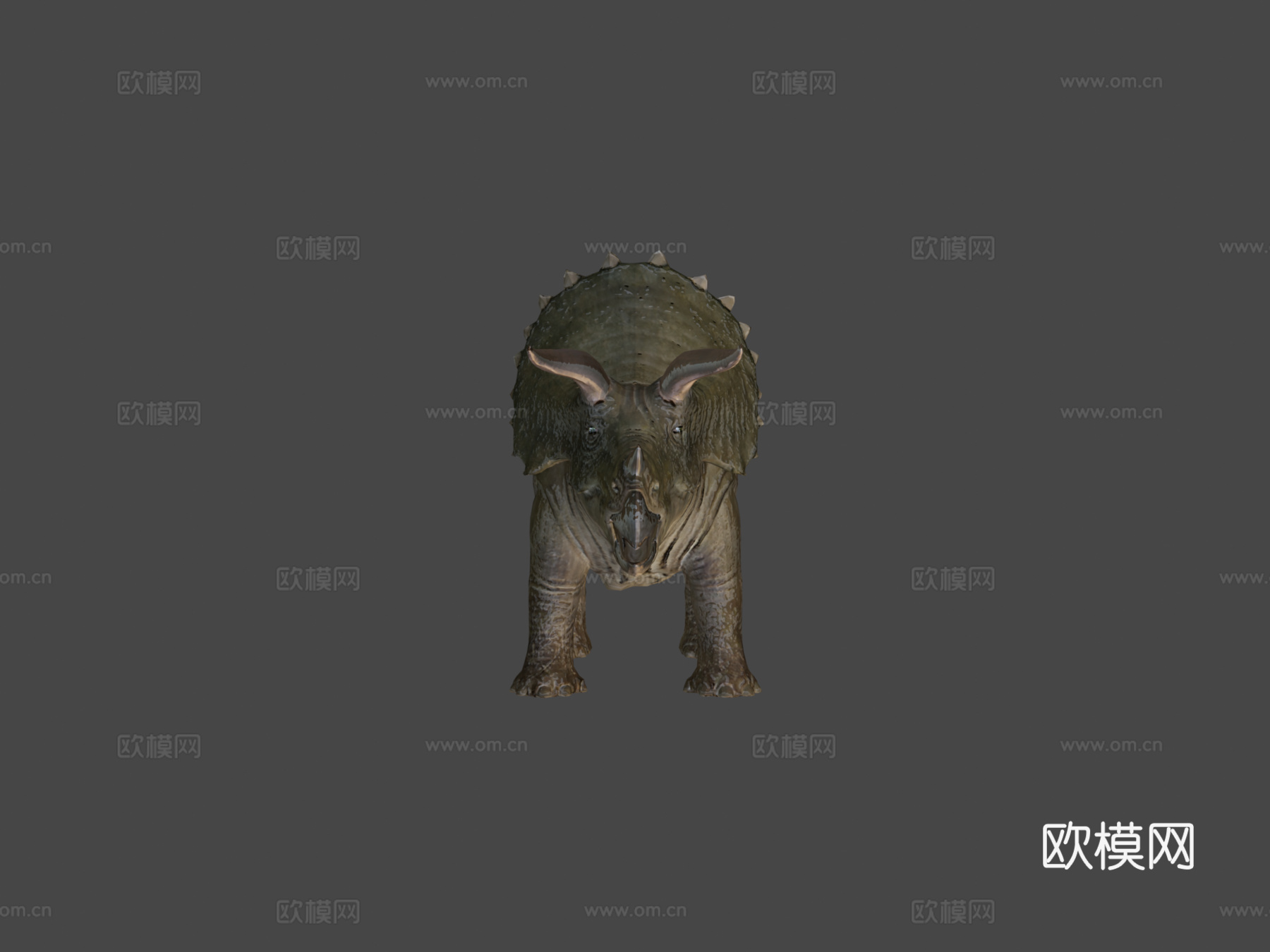 三角龙3d模型