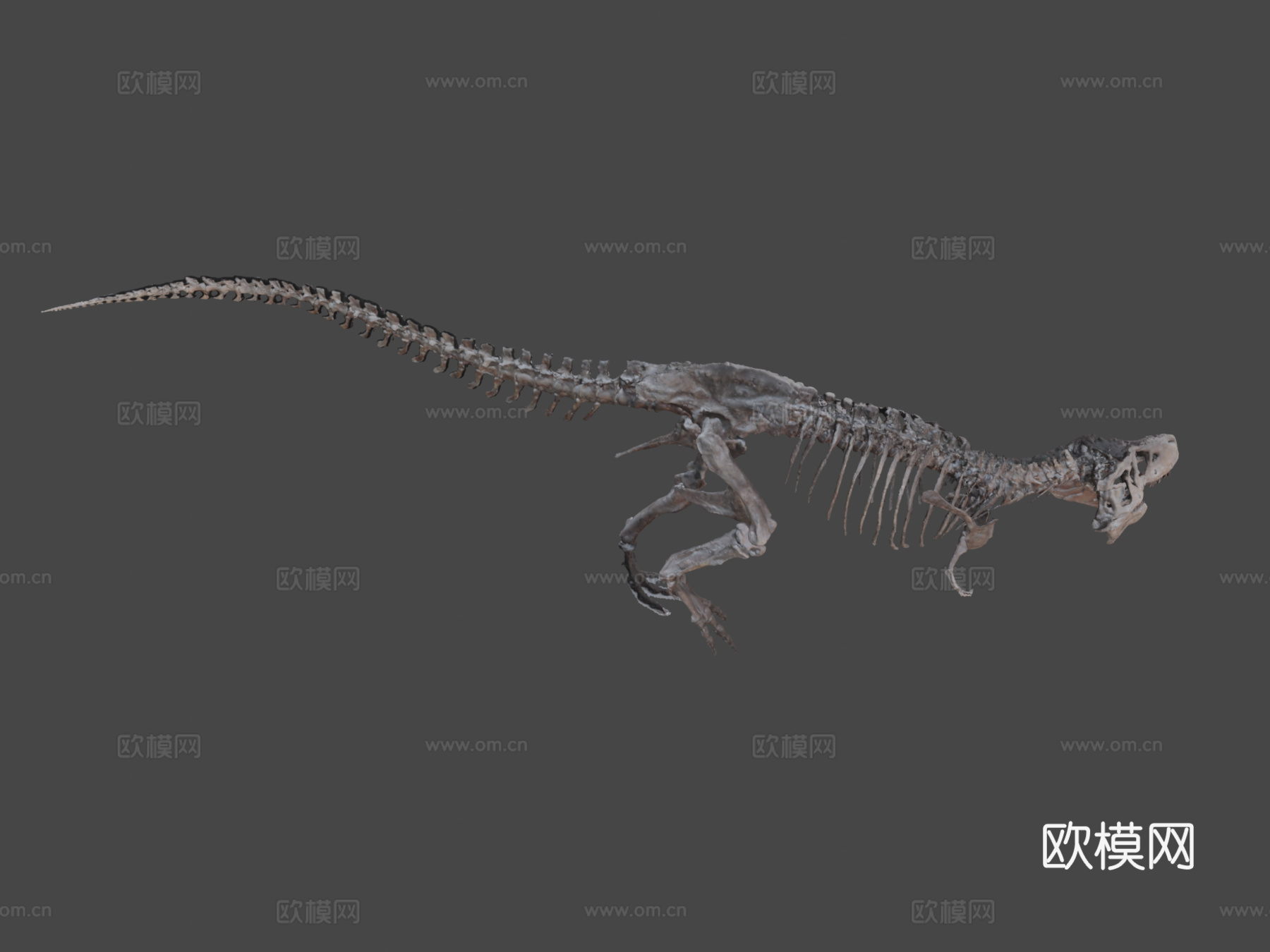 霸王龙3d模型