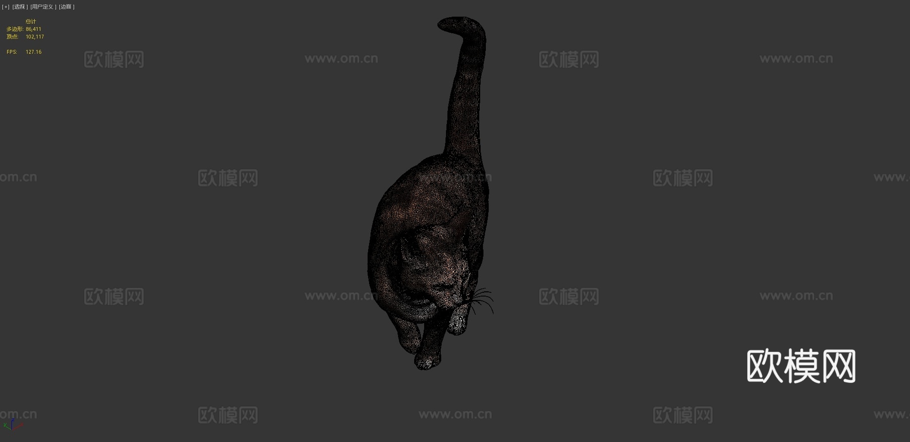 猫253d模型