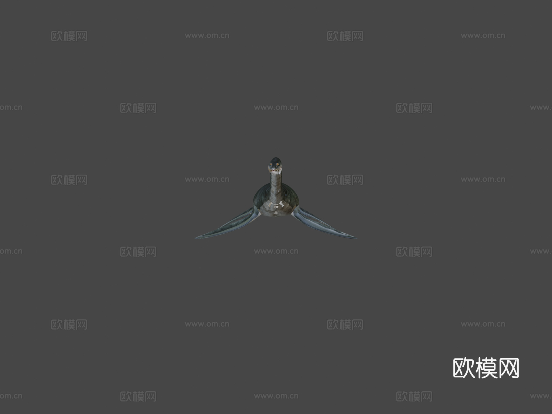 雪氏斯氏蛇颈龙3d模型