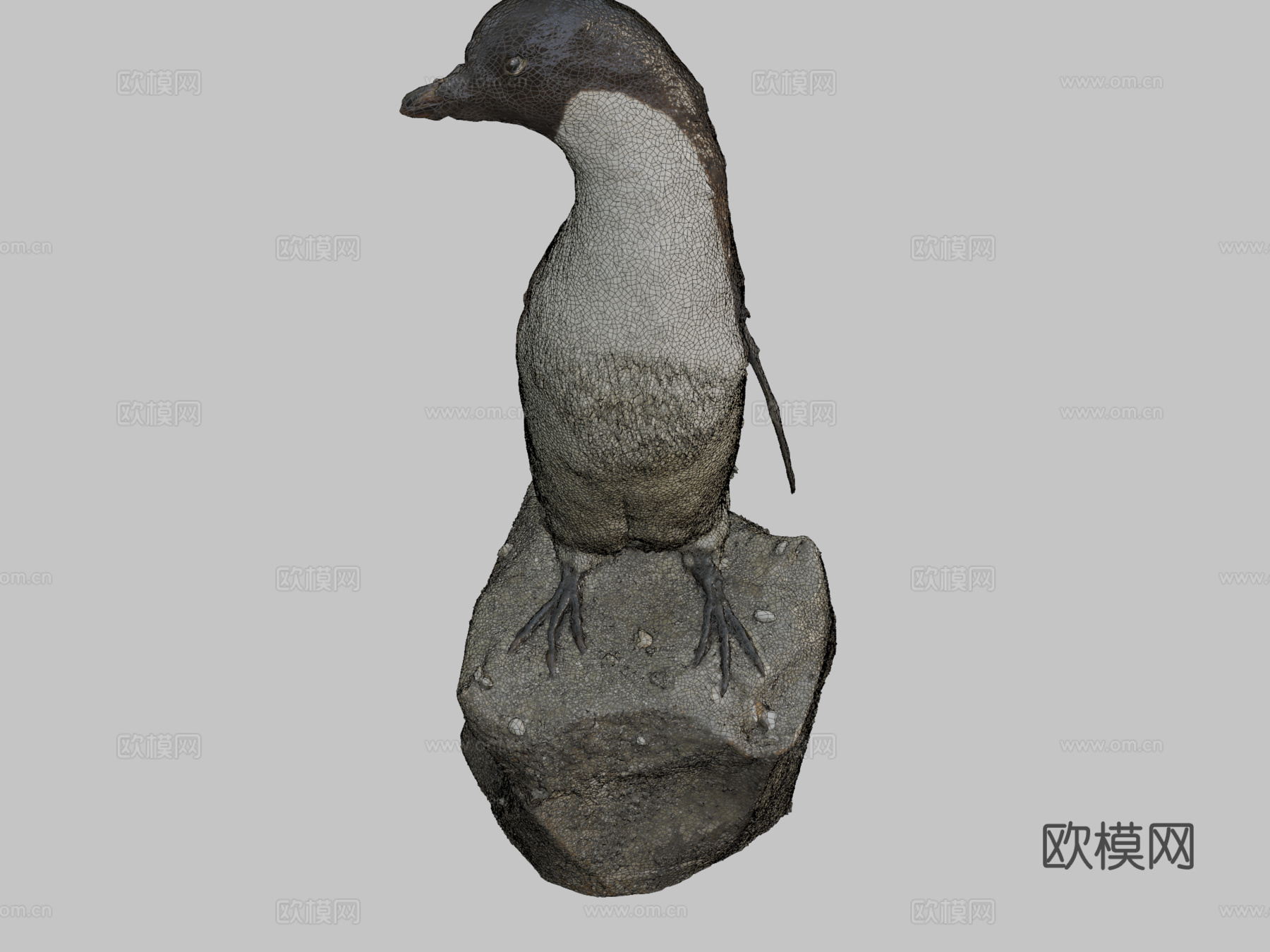 阿德利企鹅3d模型