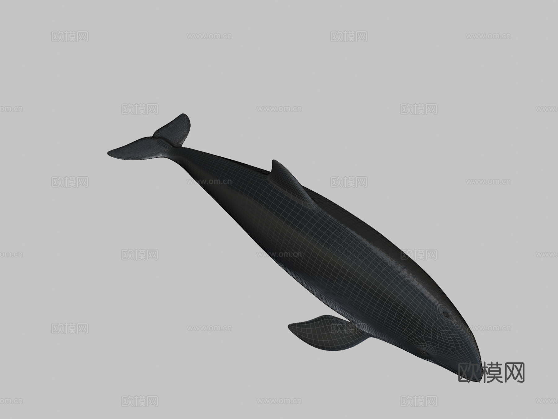 尼斯(港湾鼠海豚)-港湾鼠海豚3d模型