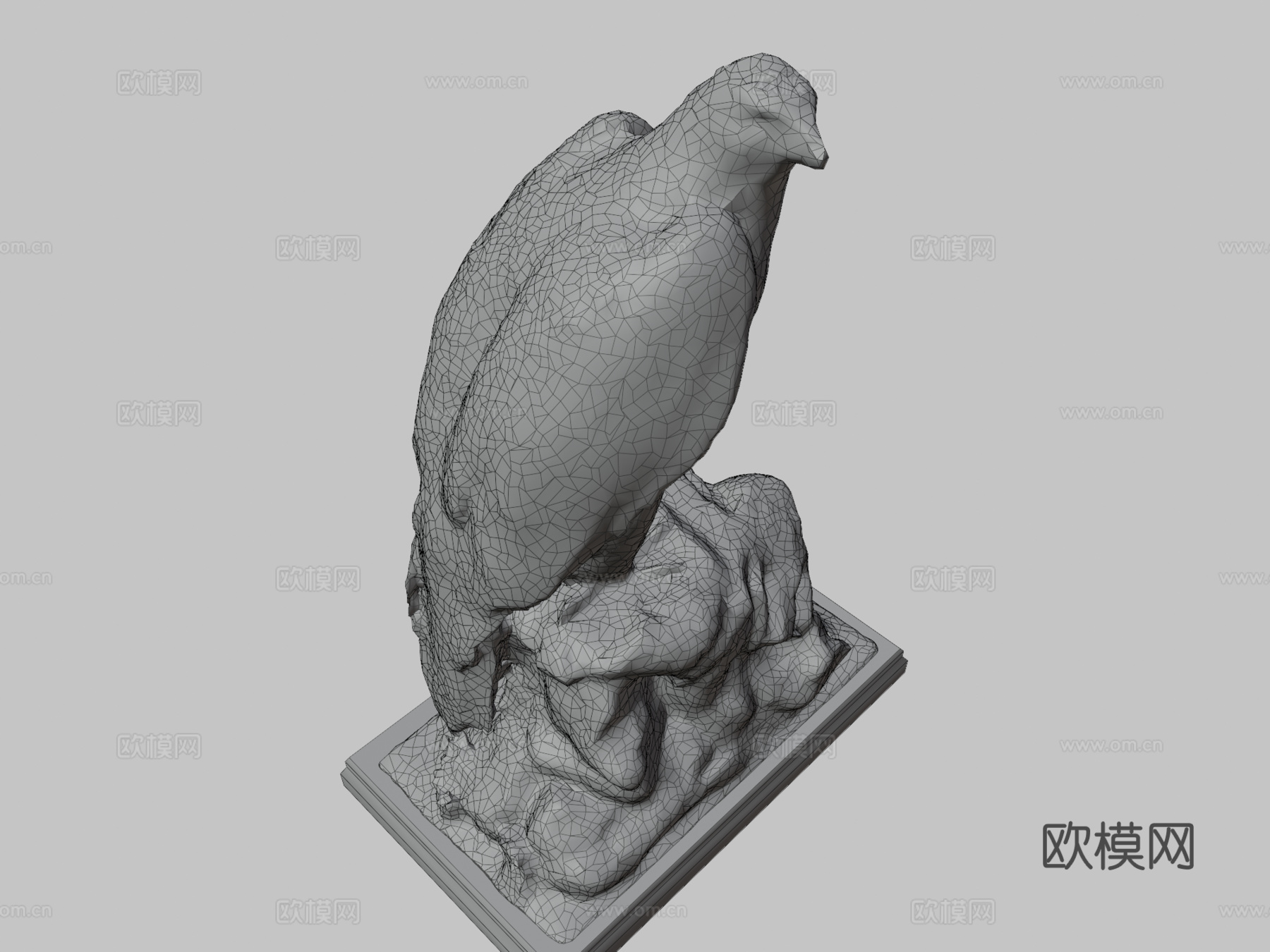 标本鹰3d模型