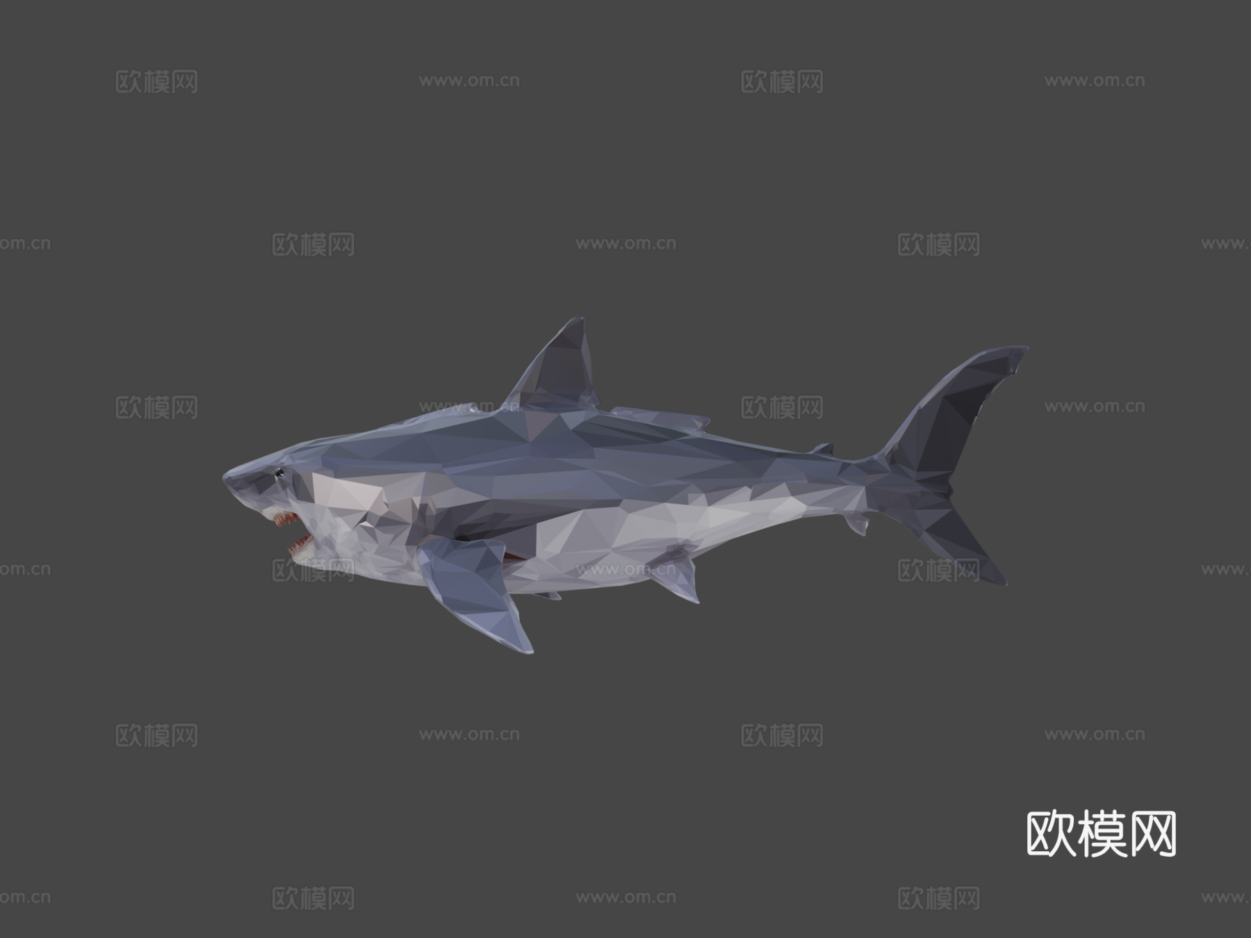 鲨鱼低多边形艺术海洋鱼3d模型