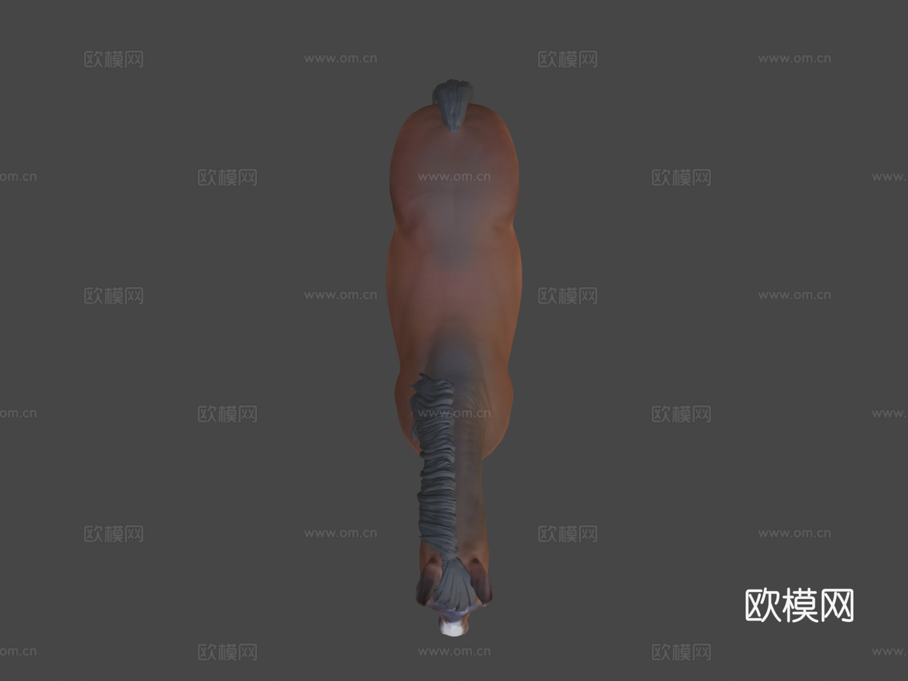 -乒乓球3d模型