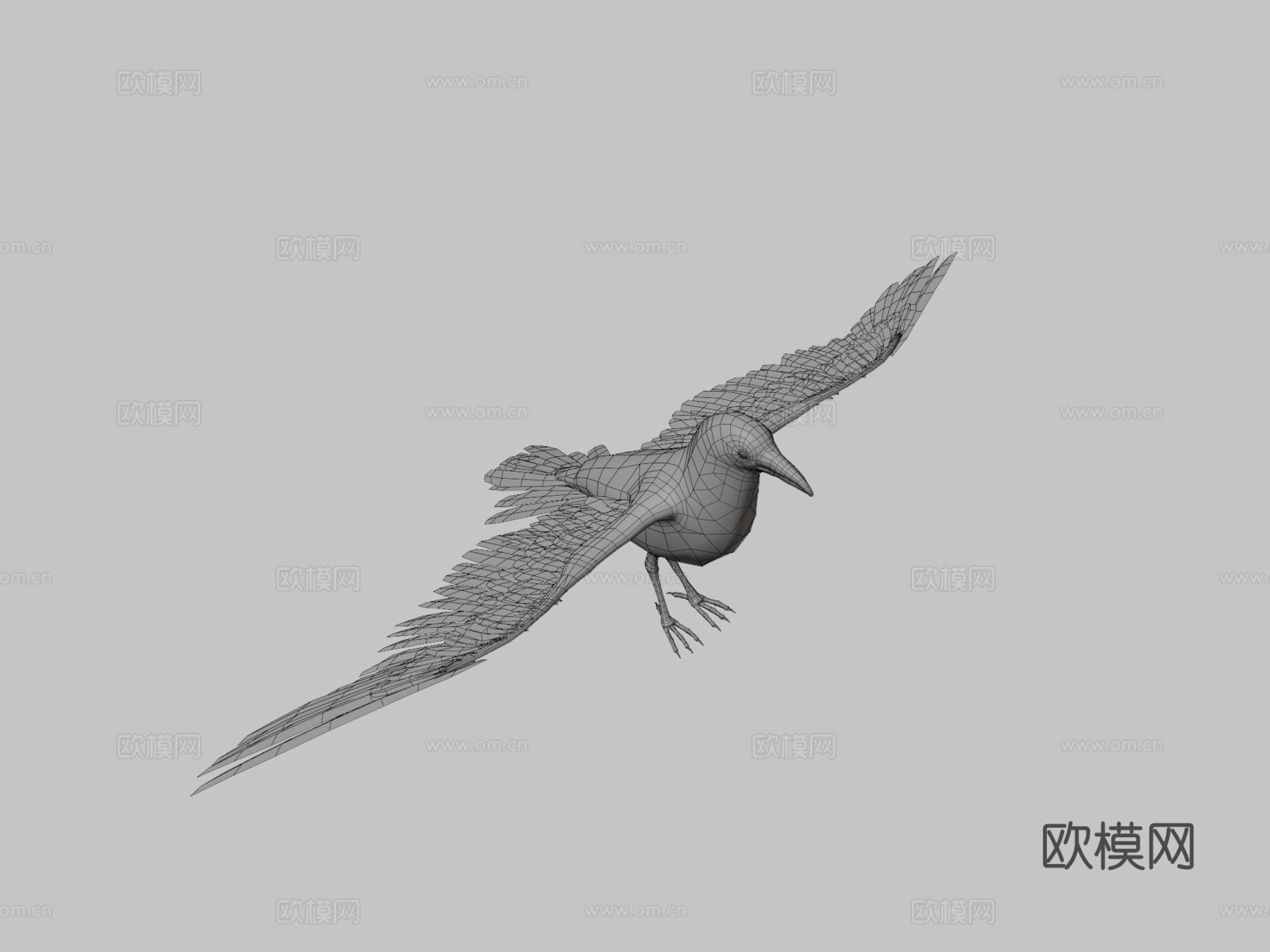 乌鸦_绑定动画3d模型