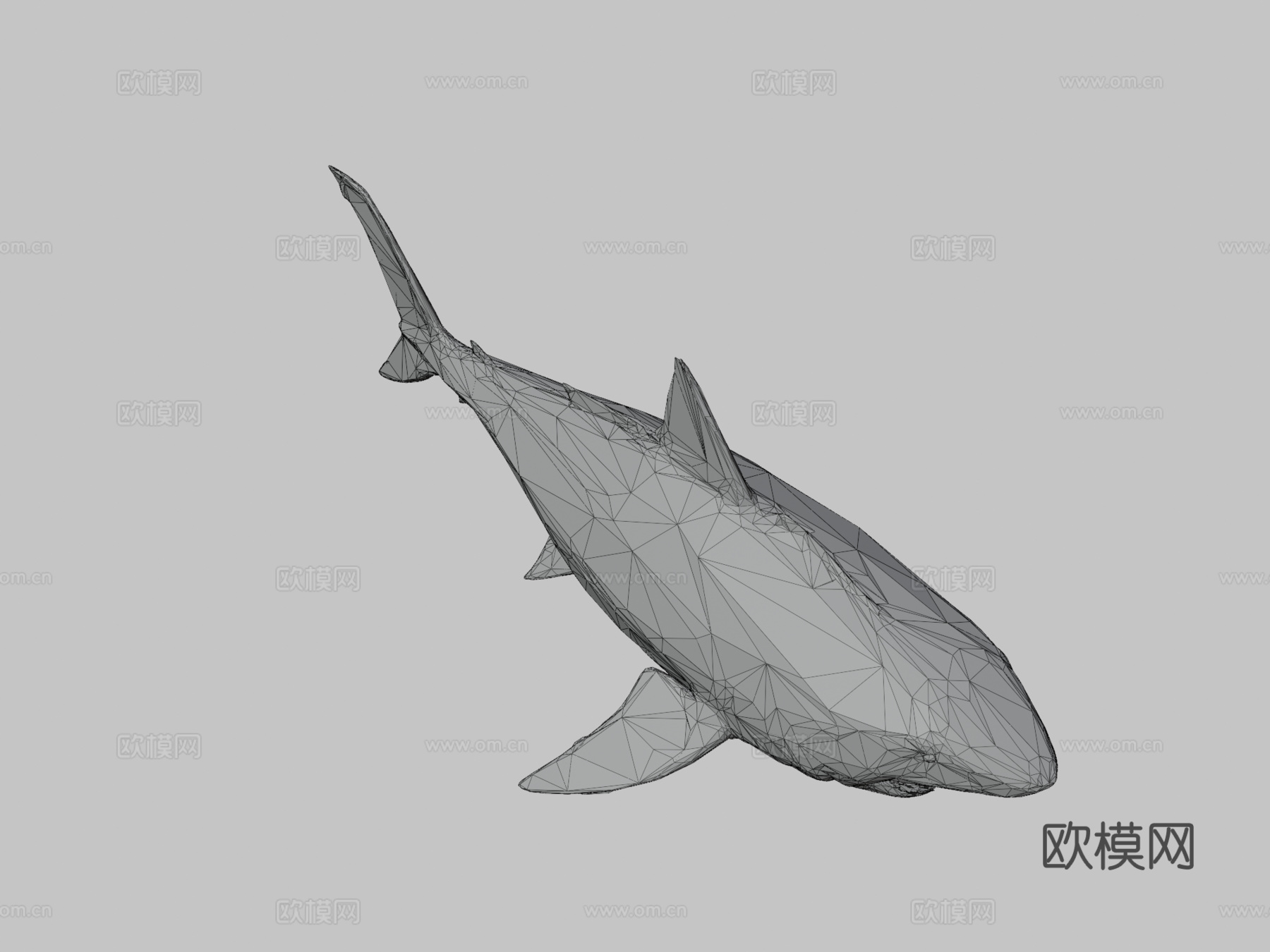 鲨鱼低多边形艺术海洋鱼3d模型
