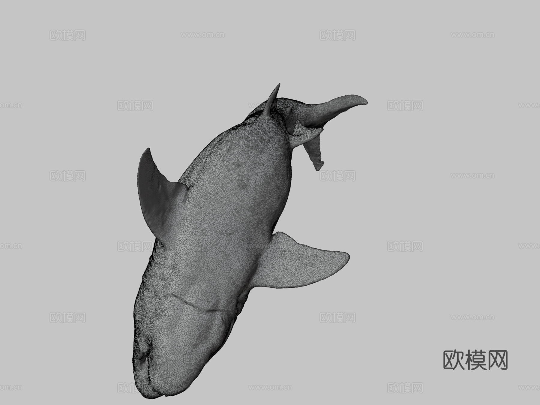 巨齿鲨3d模型