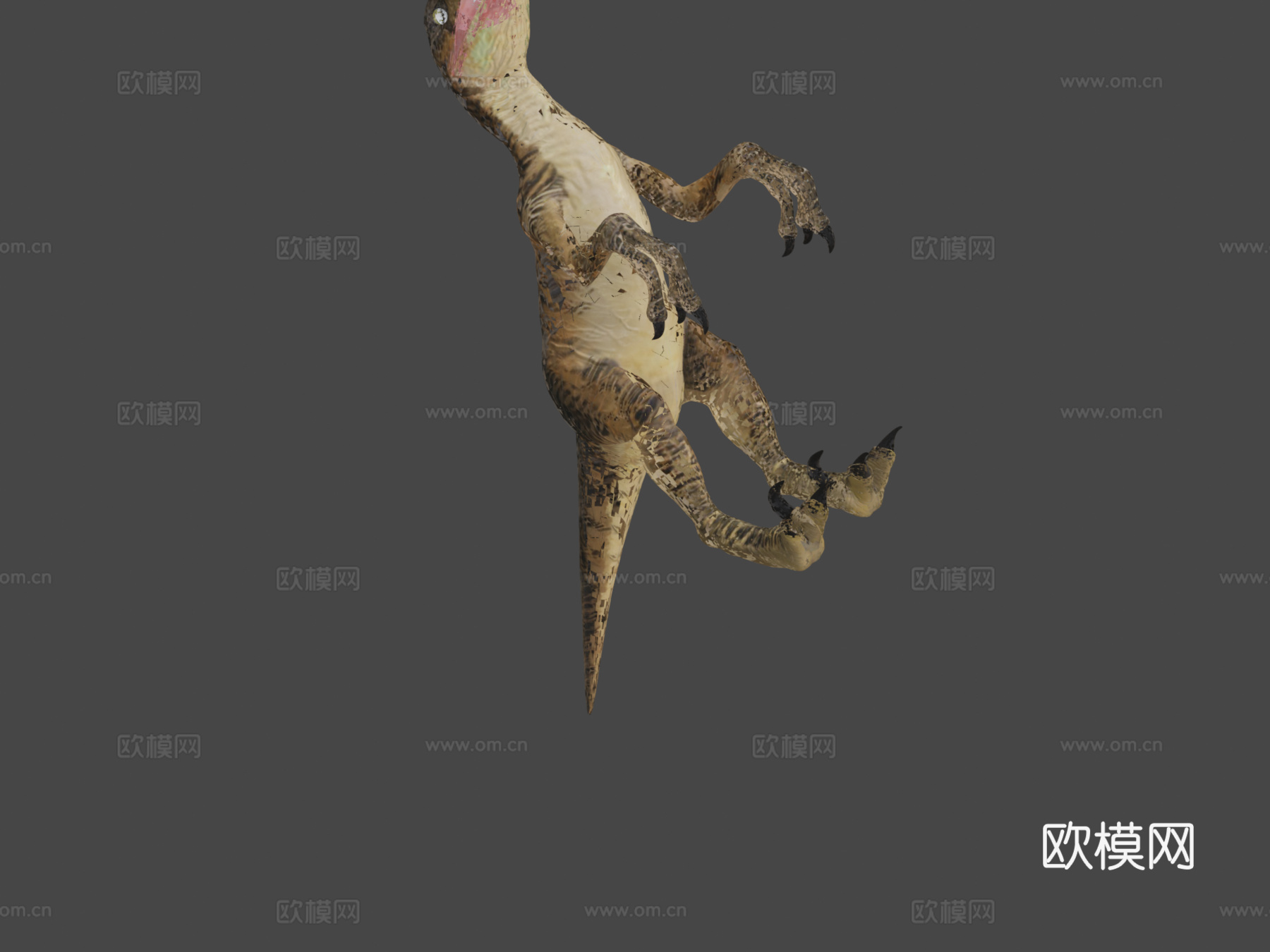 迅猛龙3d模型