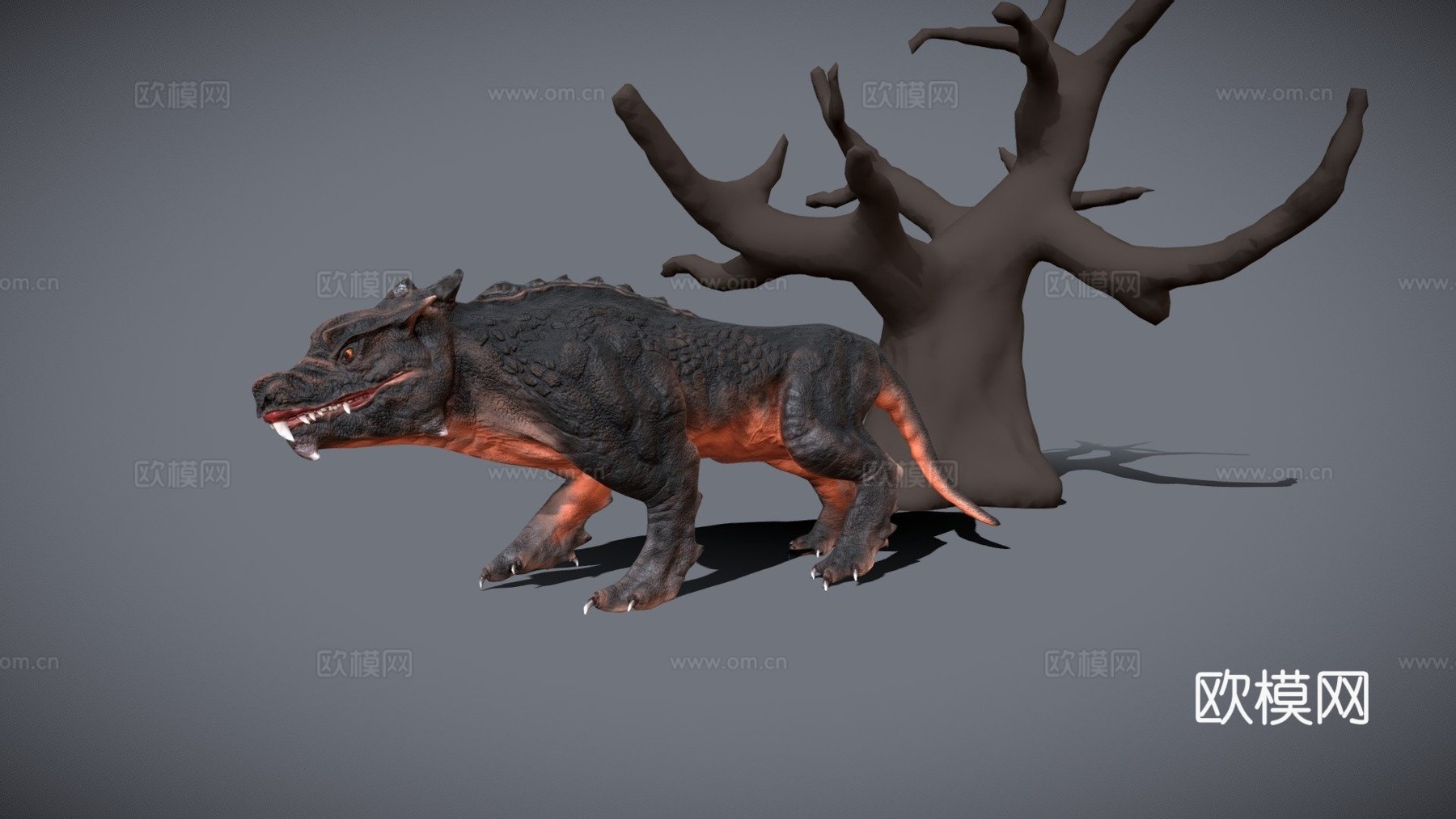 改良大型猫科动物-动画版3d模型