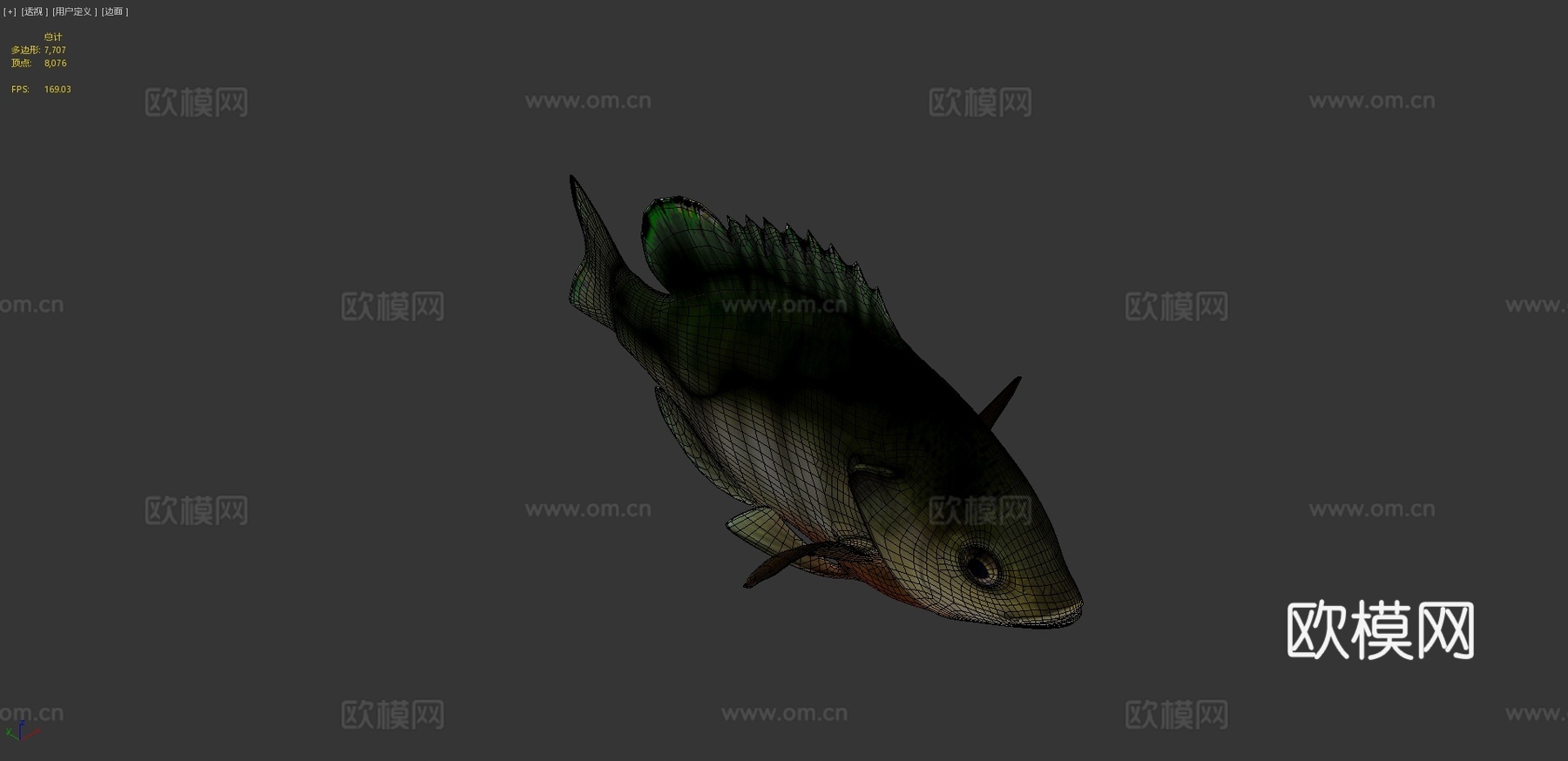A型-蓝鳃太阳鱼3d模型