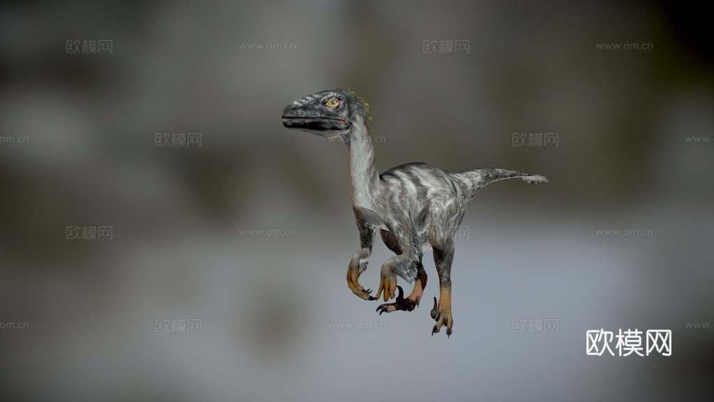 迅猛龙121动画-恐龙动画集3d模型