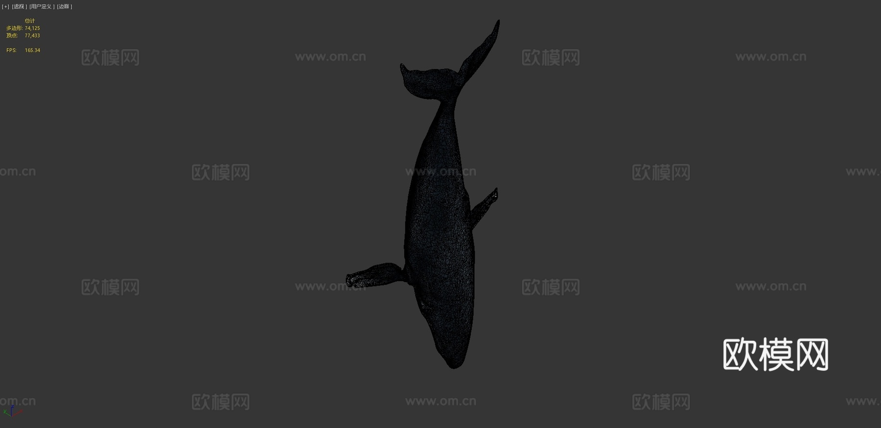 雕刻鲸鱼3d模型
