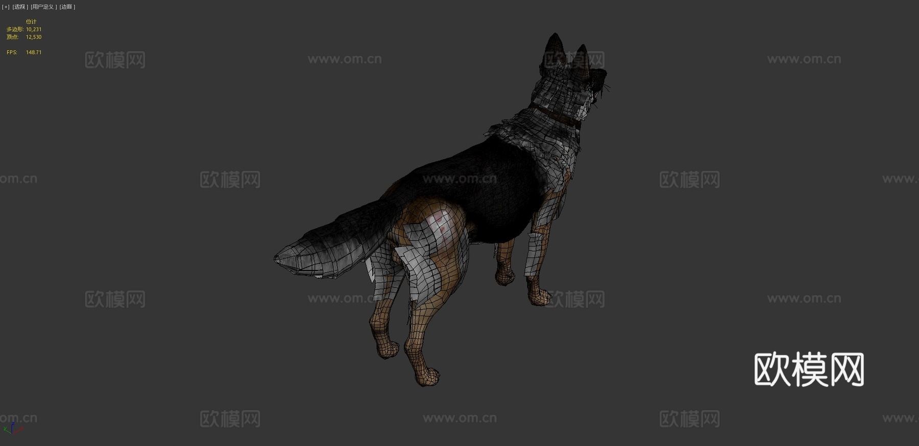 莱利3d模型