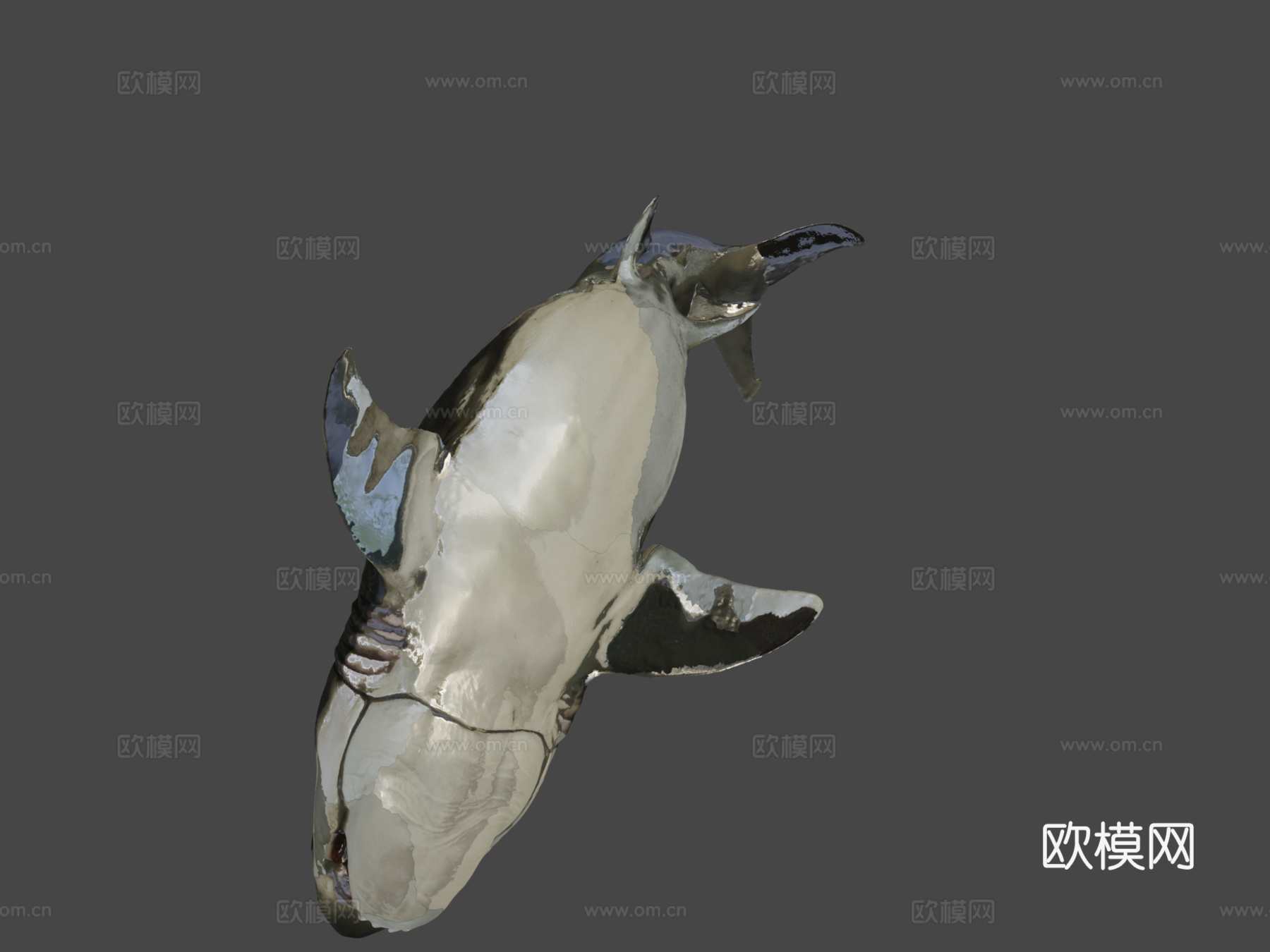巨齿鲨3d模型