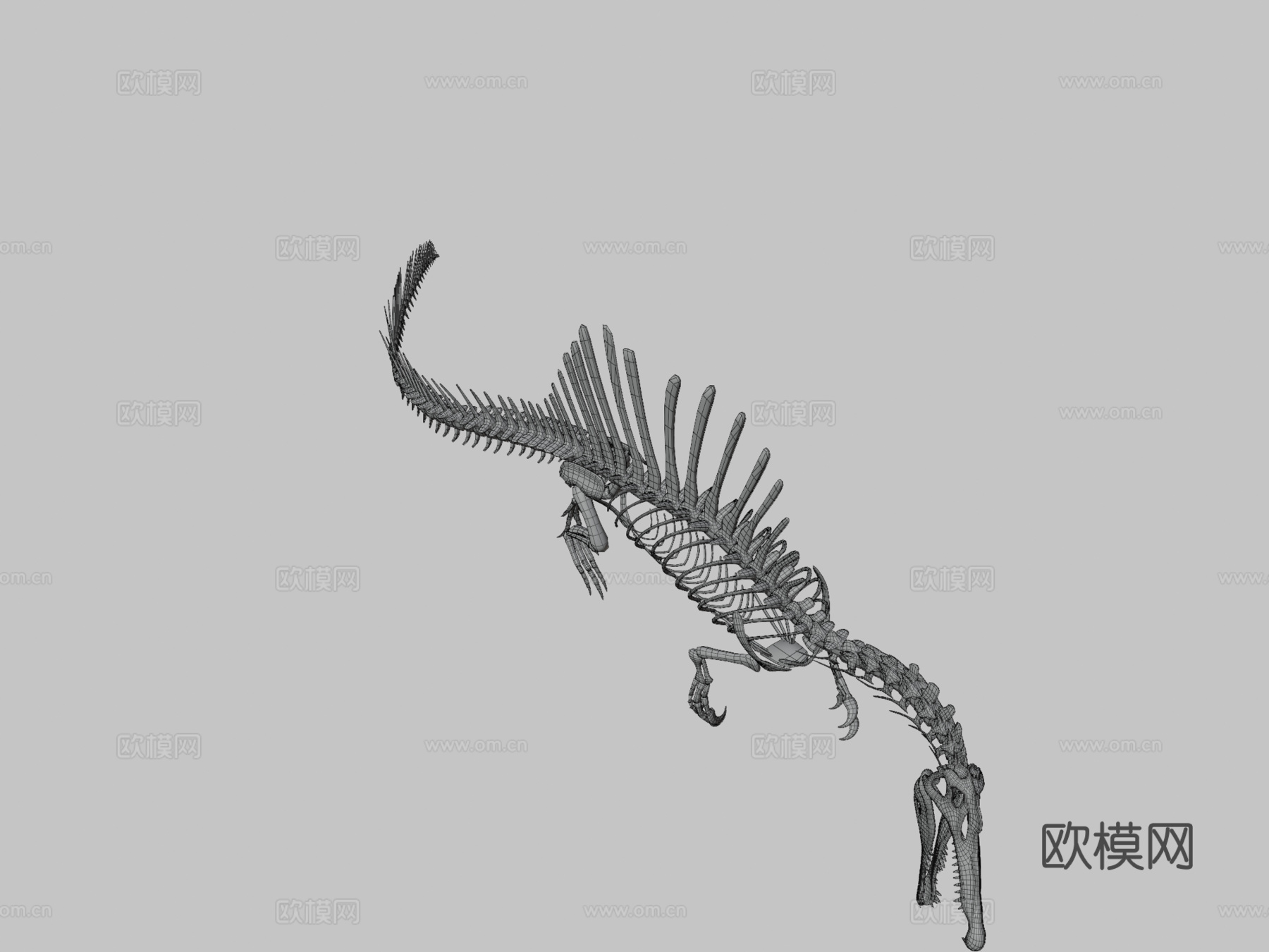棘龙骨架3d模型