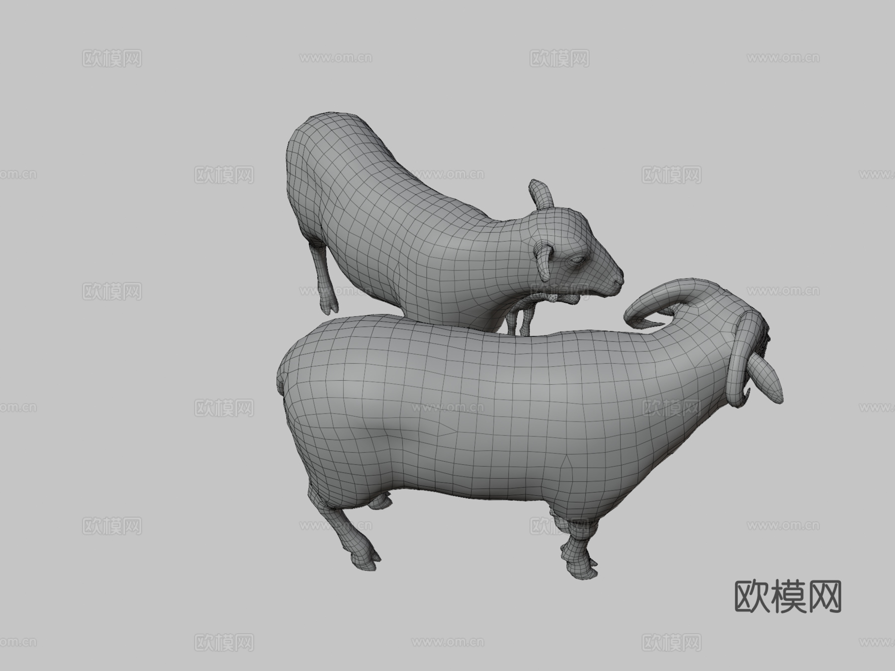绵羊家族动画3d模型