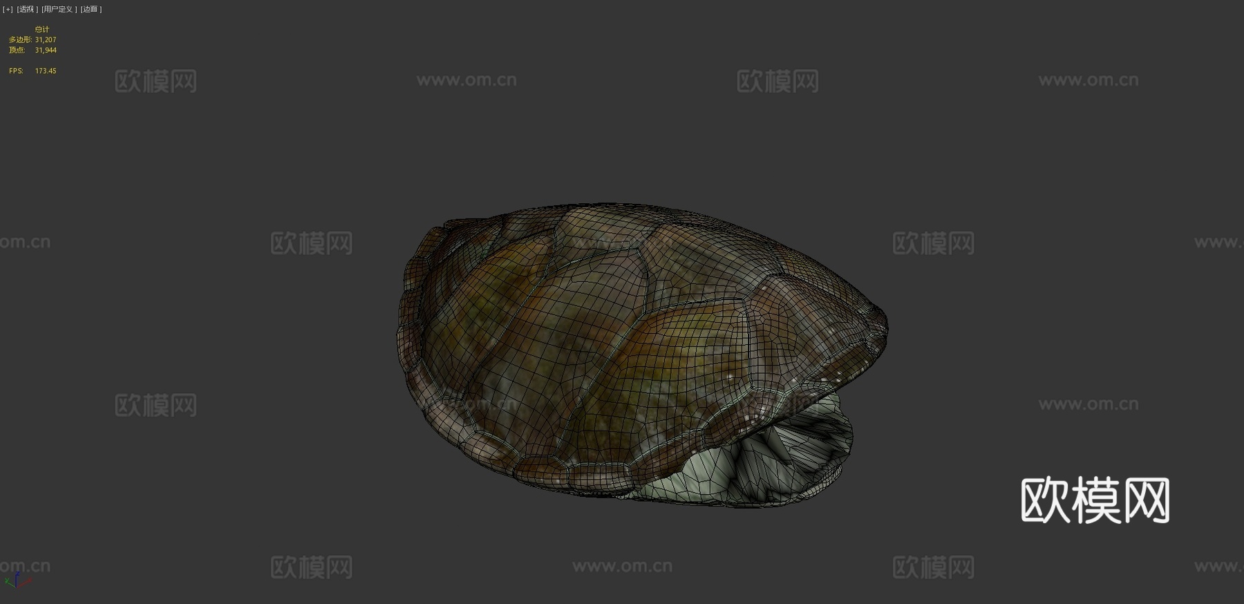 绿海龟♂3d模型
