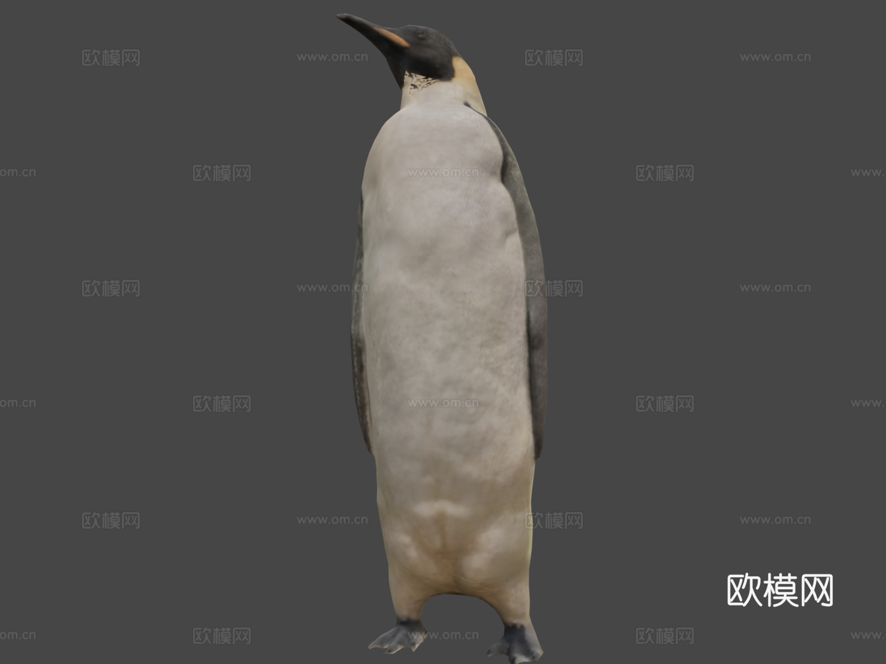 帝企鹅3d模型