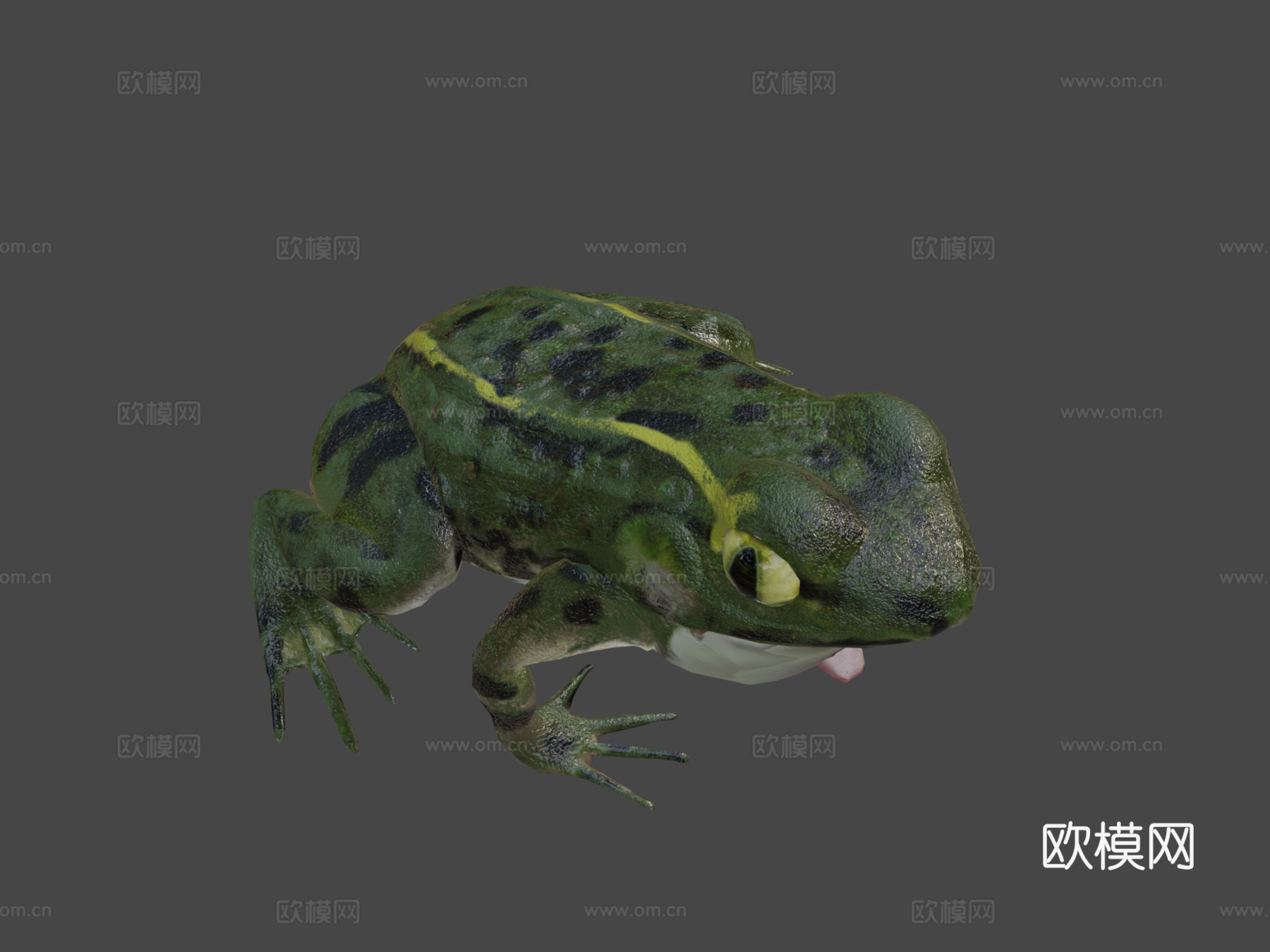 青蛙3d模型