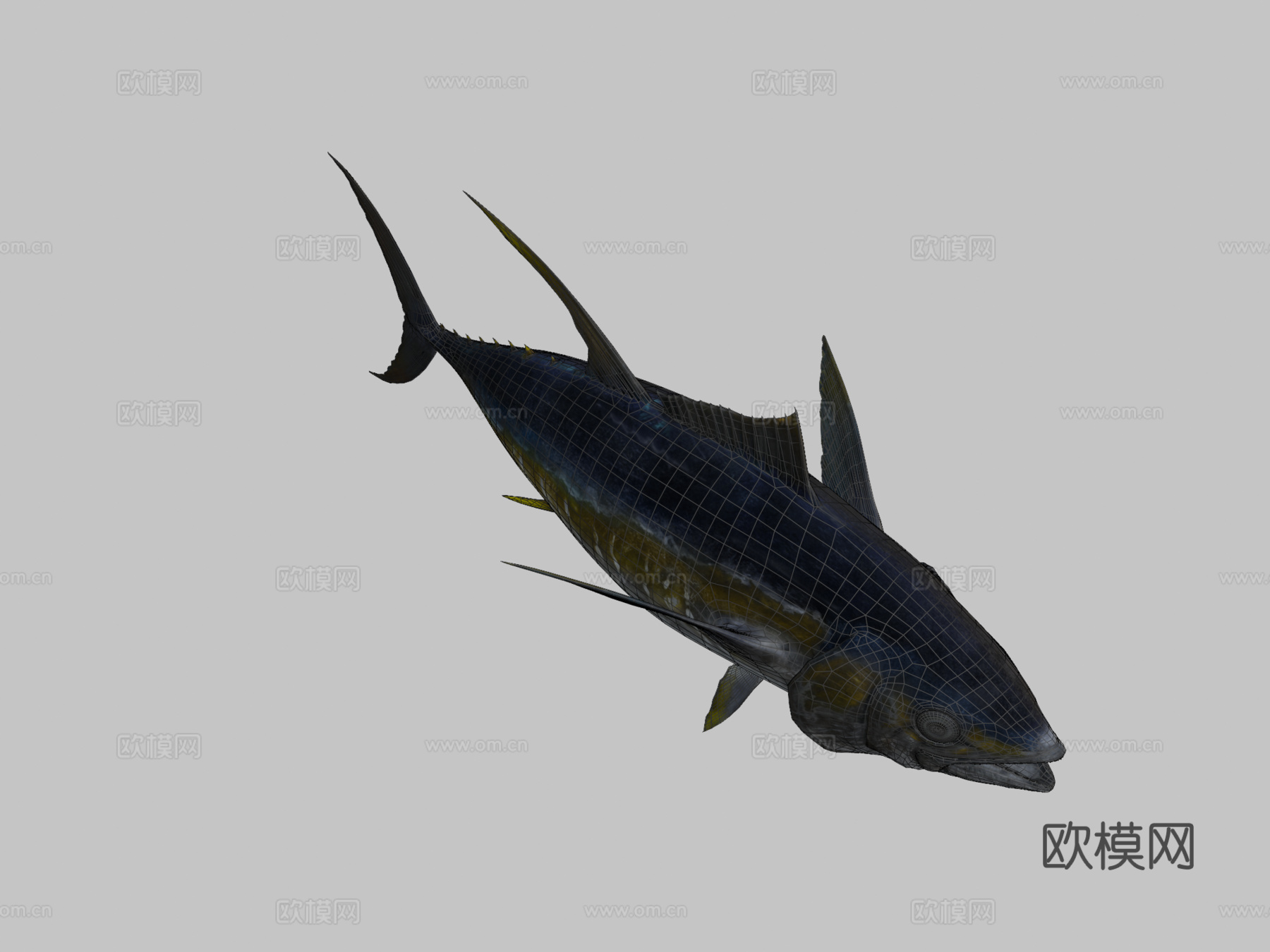 黄鳍金枪鱼3d模型