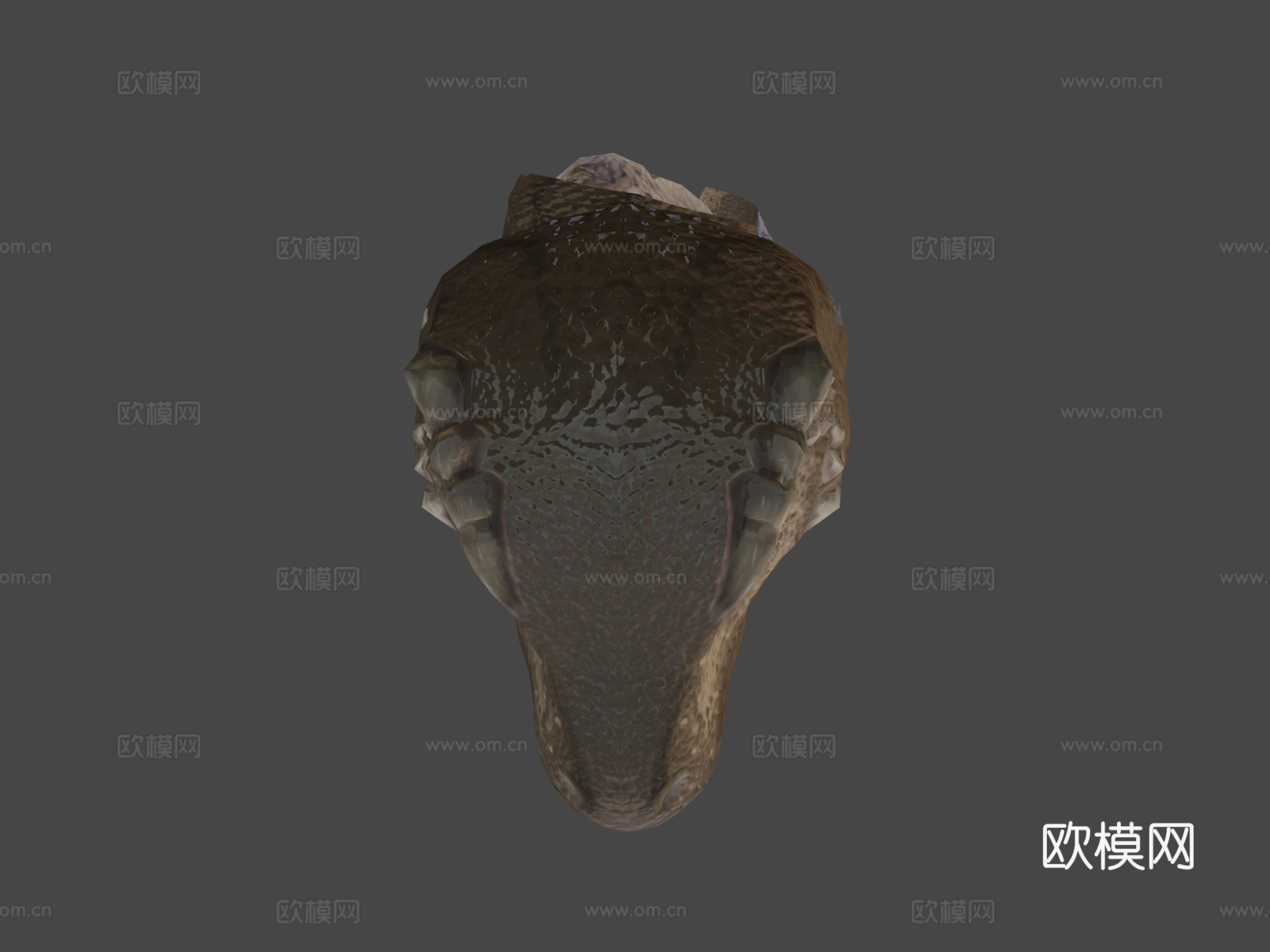 小霸王龙3d模型