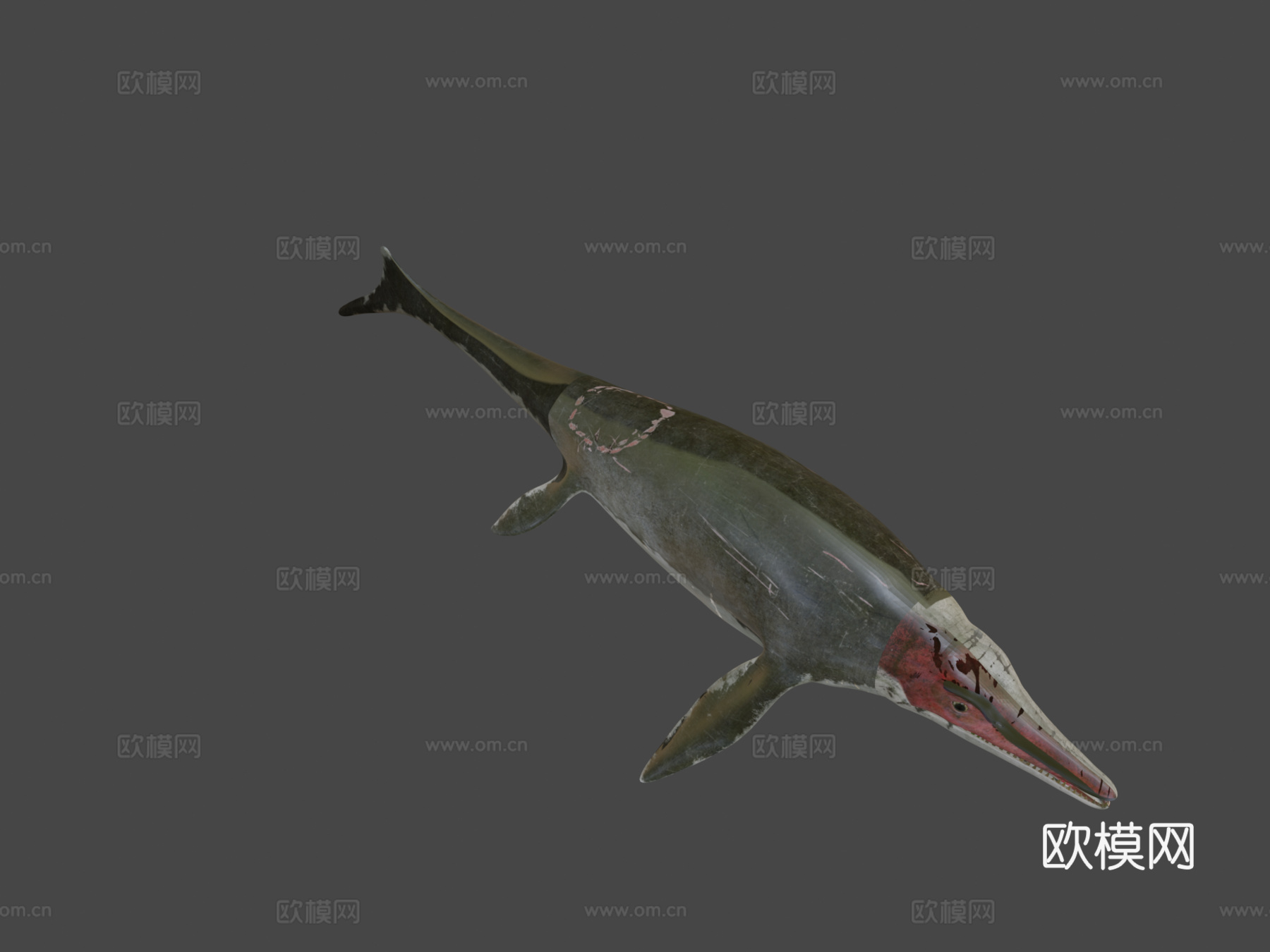 鱼龙3d模型