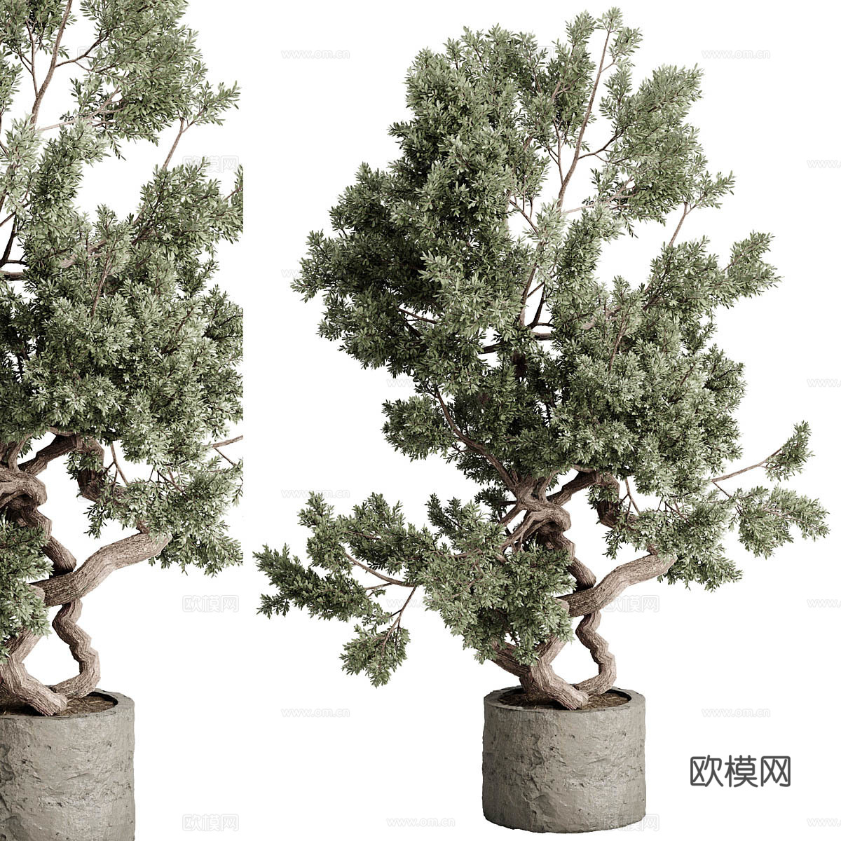 花瓶花卉3d模型
