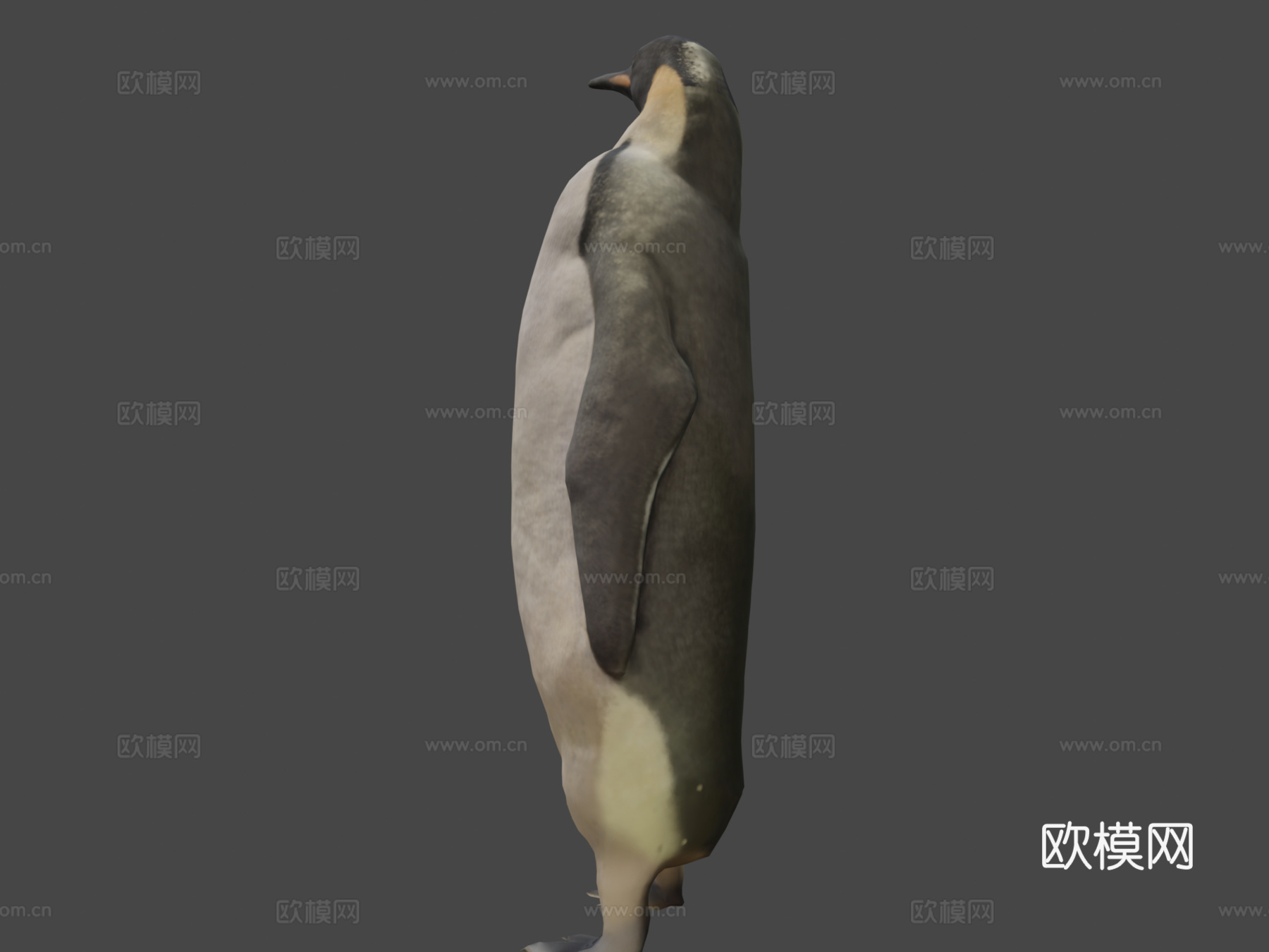 帝企鹅3d模型