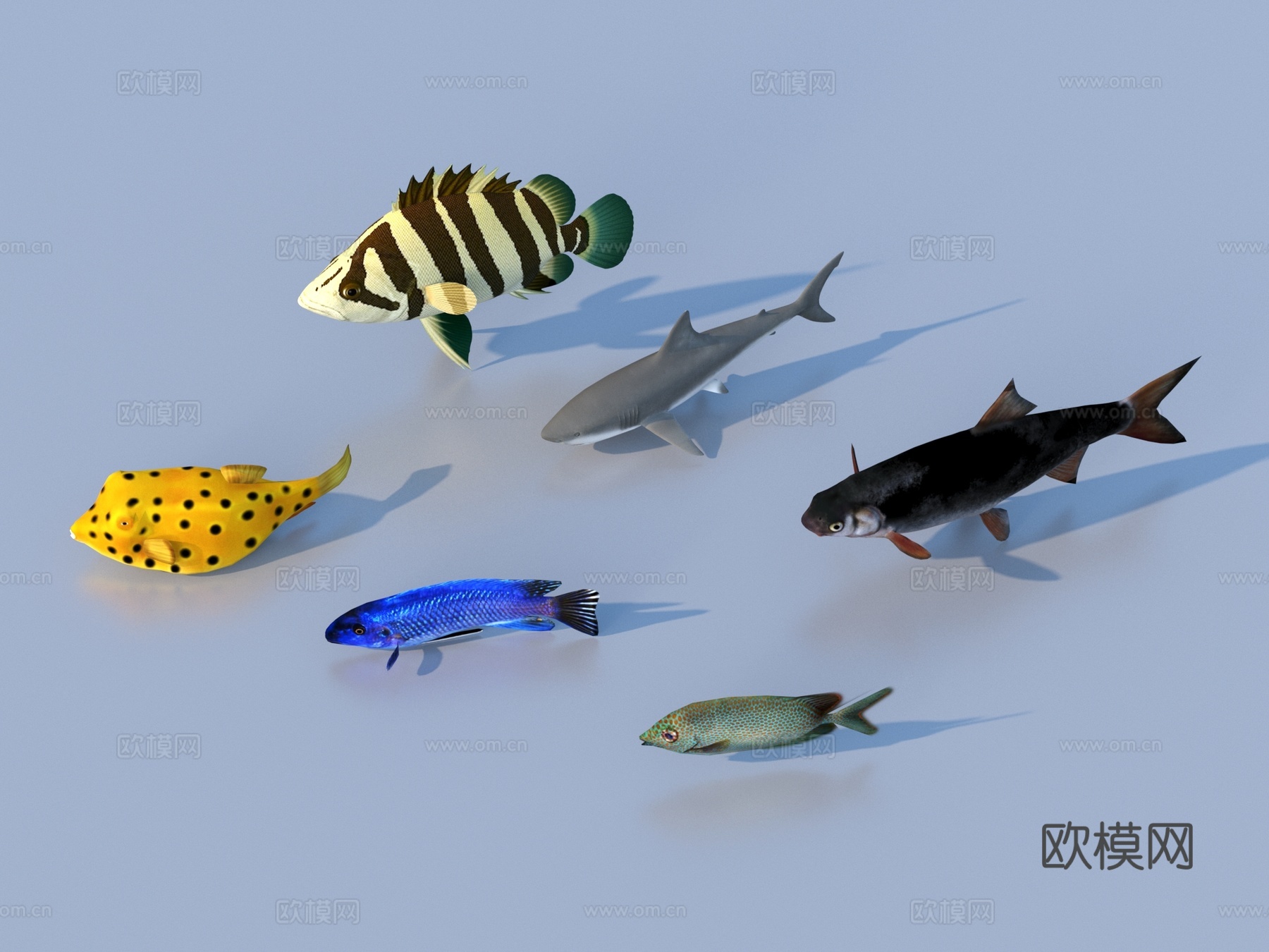 鱼 淡水鱼 海鱼 动物 游戏动物3d模型