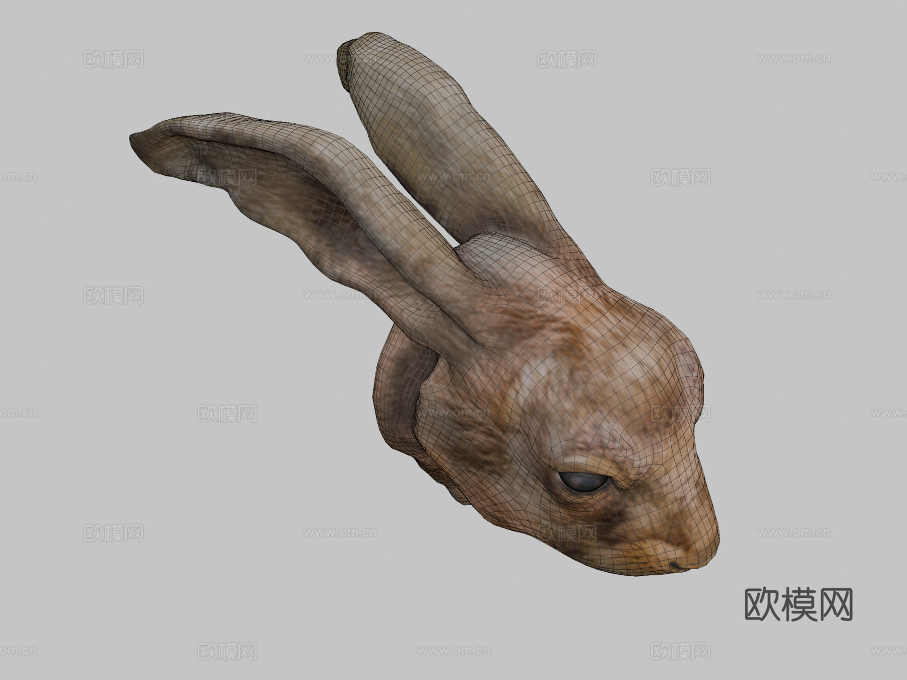 欧洲野兔3d模型