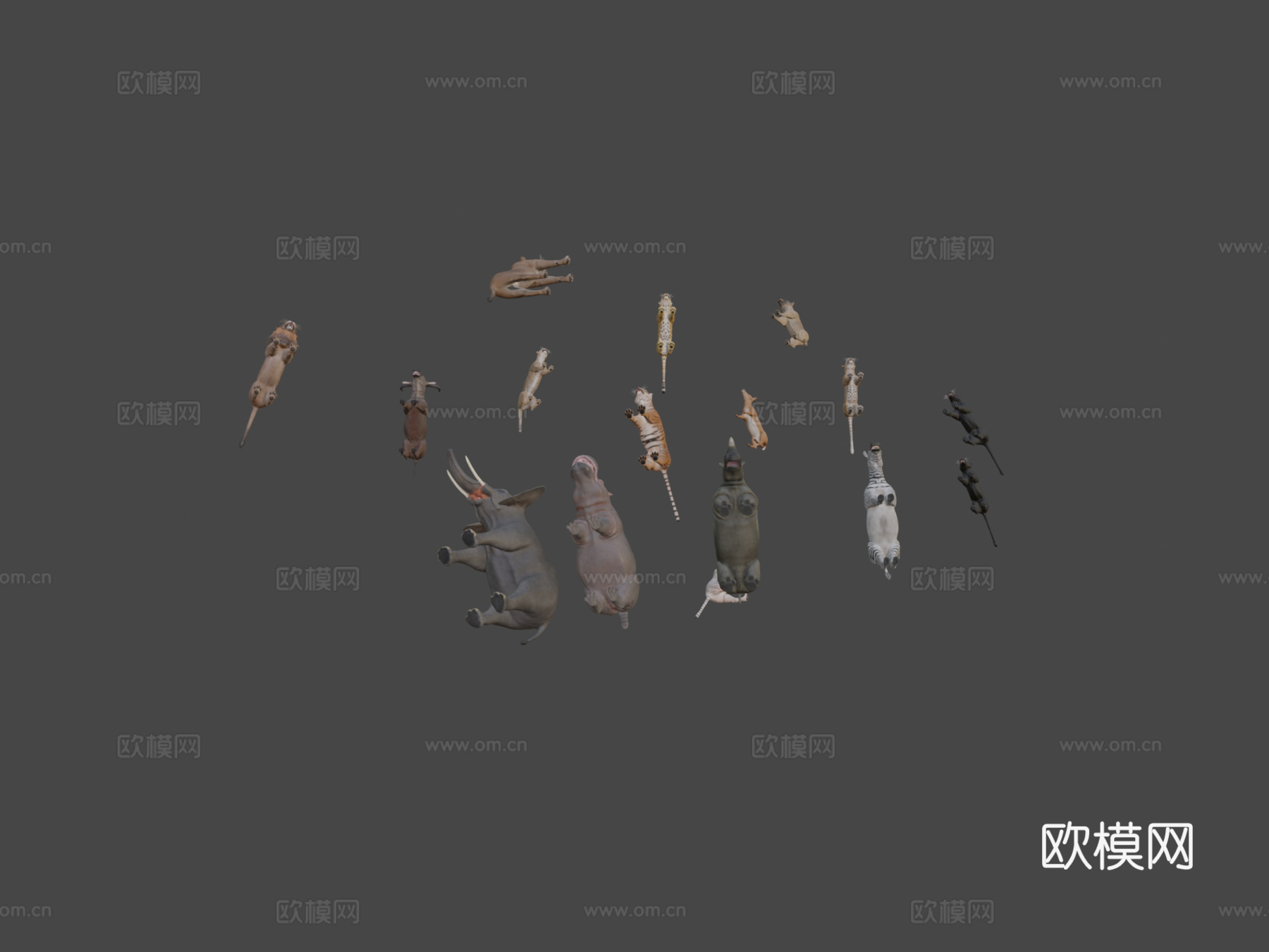 非洲动物包3d模型