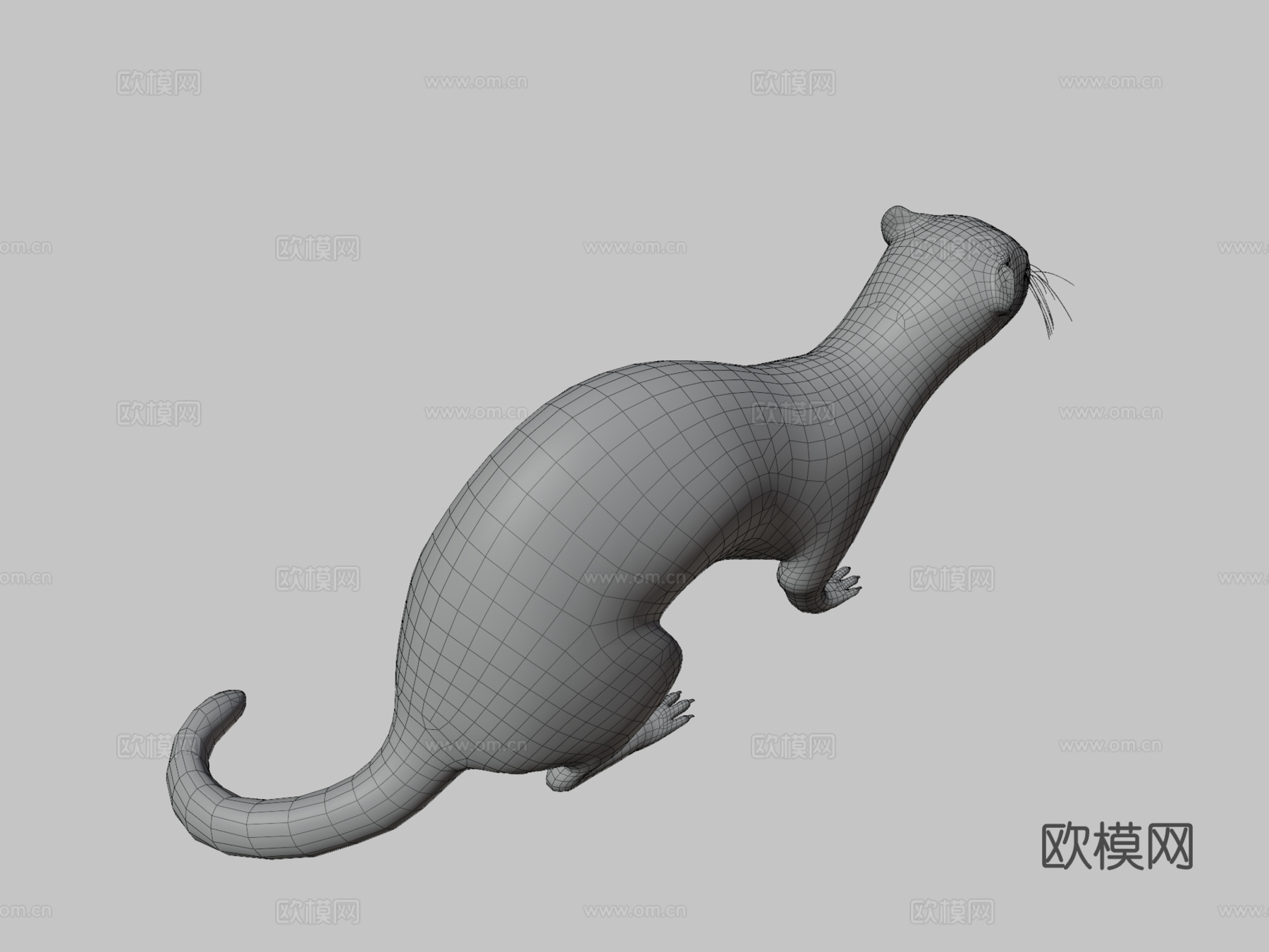 雪貂3d模型