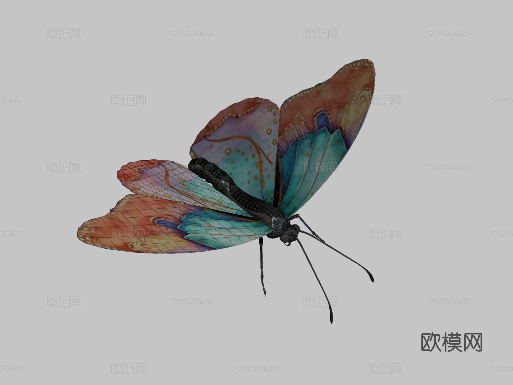 动画飞行扑翼蝴蝶循环3d模型