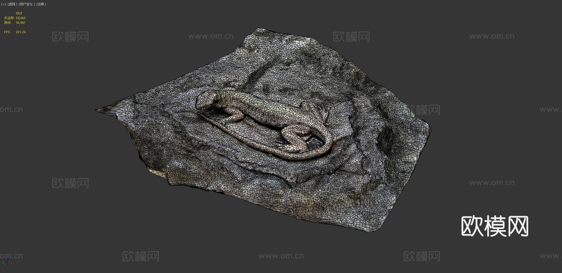 蜥蜴3d模型