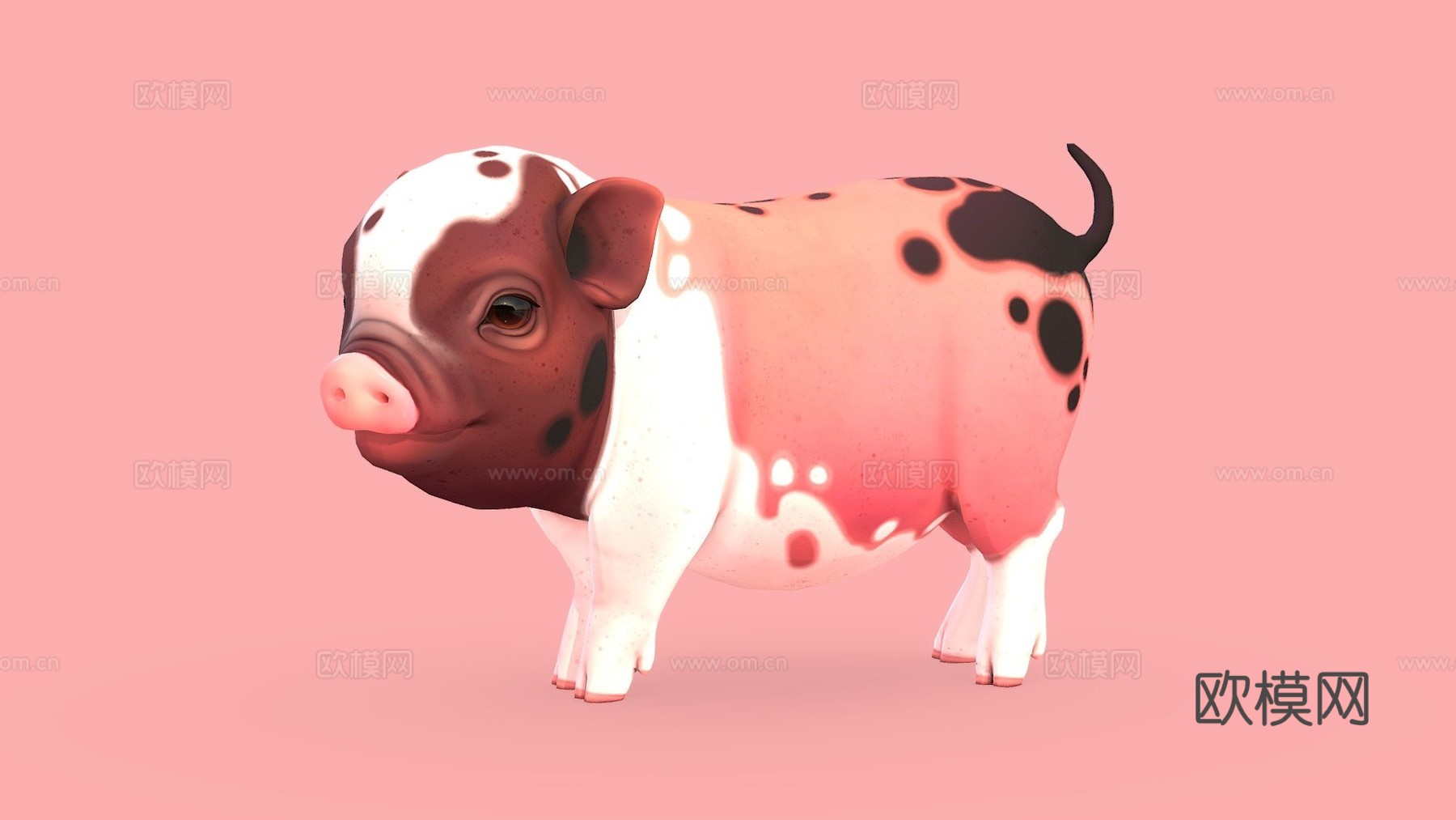 迷你小猪3d模型