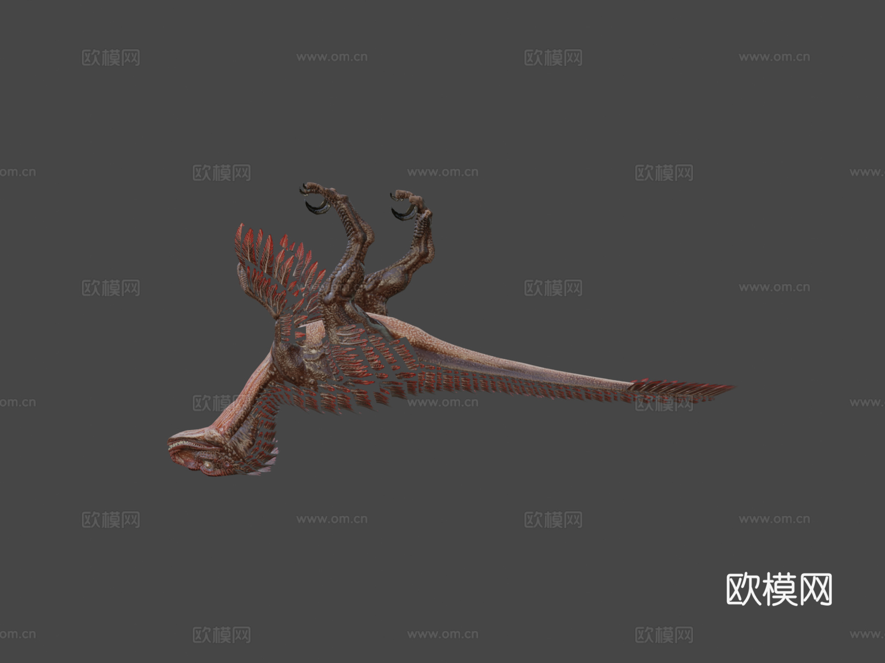 有羽毛猛禽3d模型