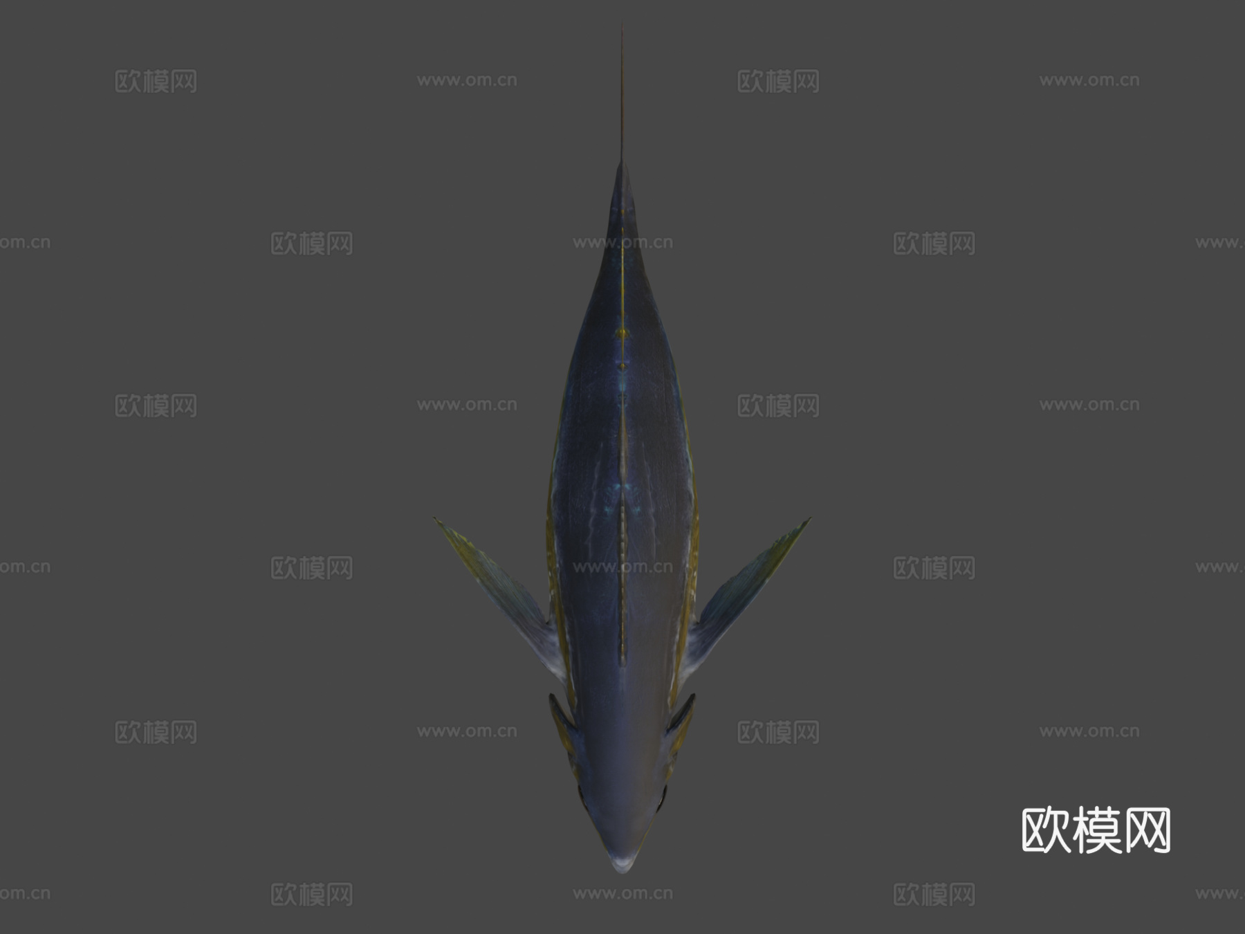 黄鳍金枪鱼3d模型
