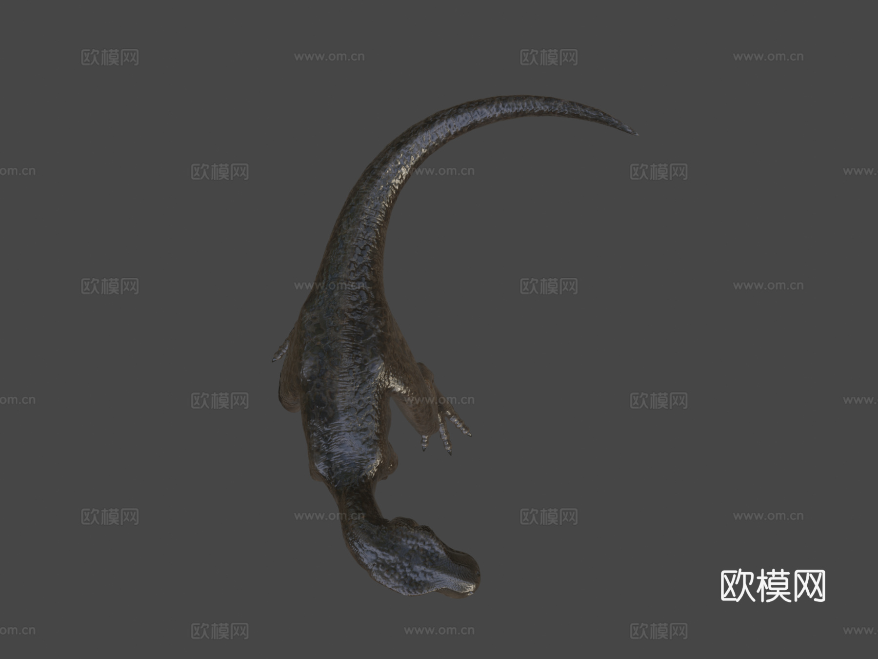 霸王龙3d模型