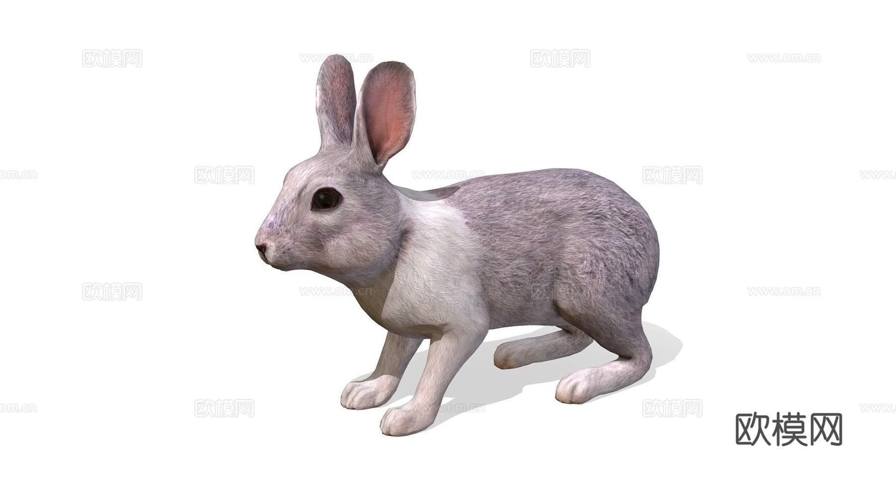 兔子动画3d模型