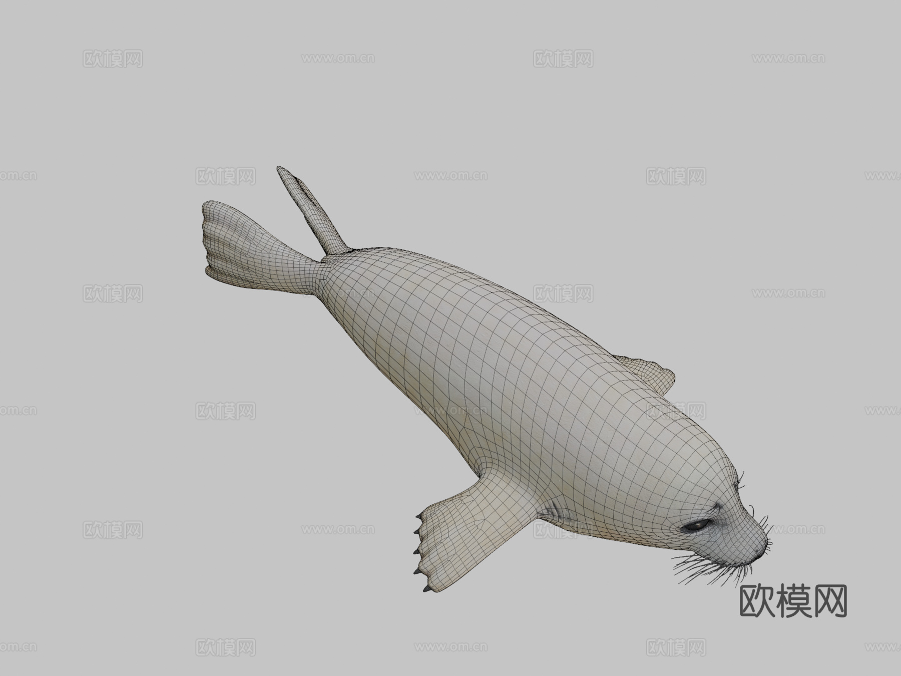 格陵兰海豹幼崽（格陵兰种）-竖琴海豹3d模型
