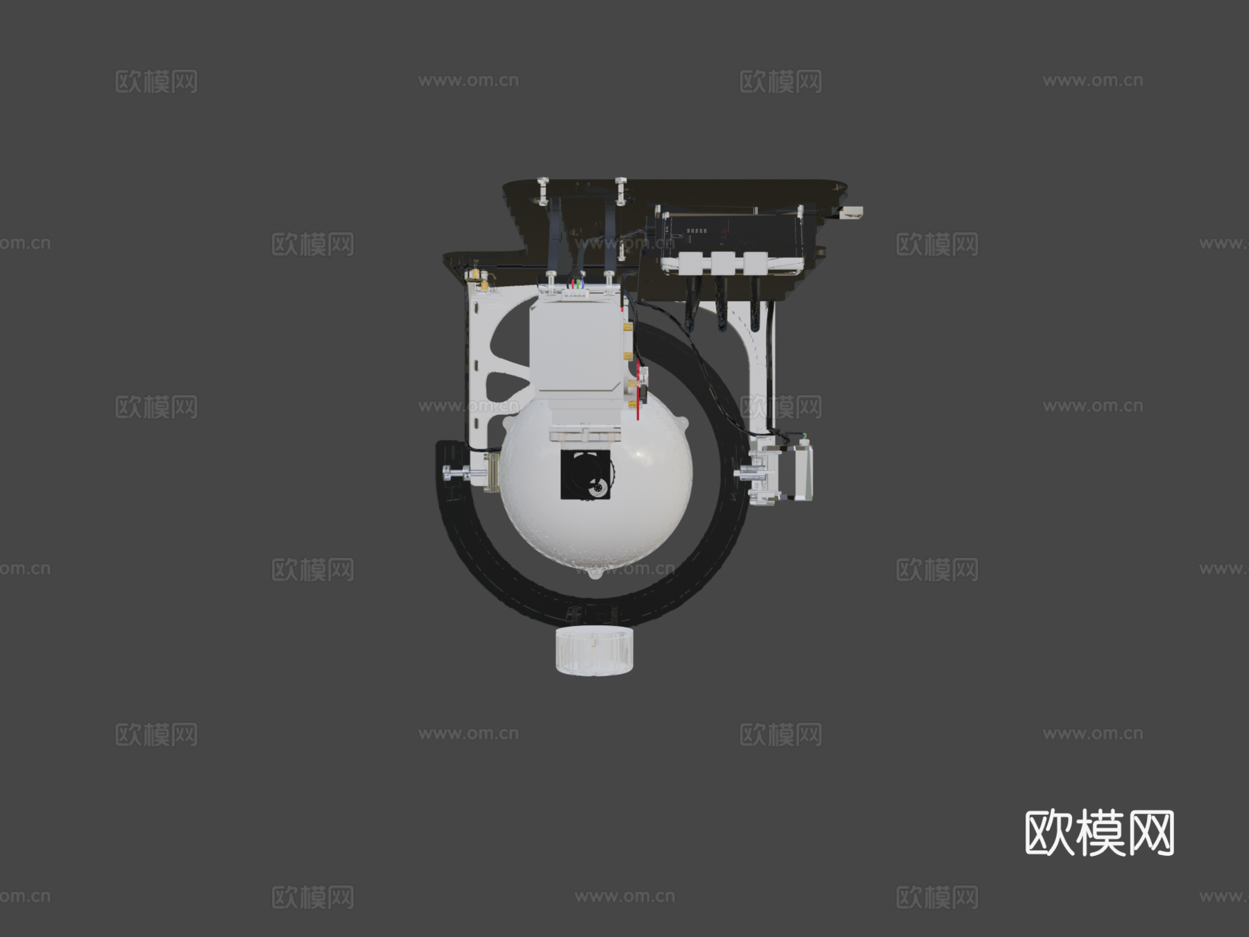 scAnt-开源3D昆虫扫描仪3d模型