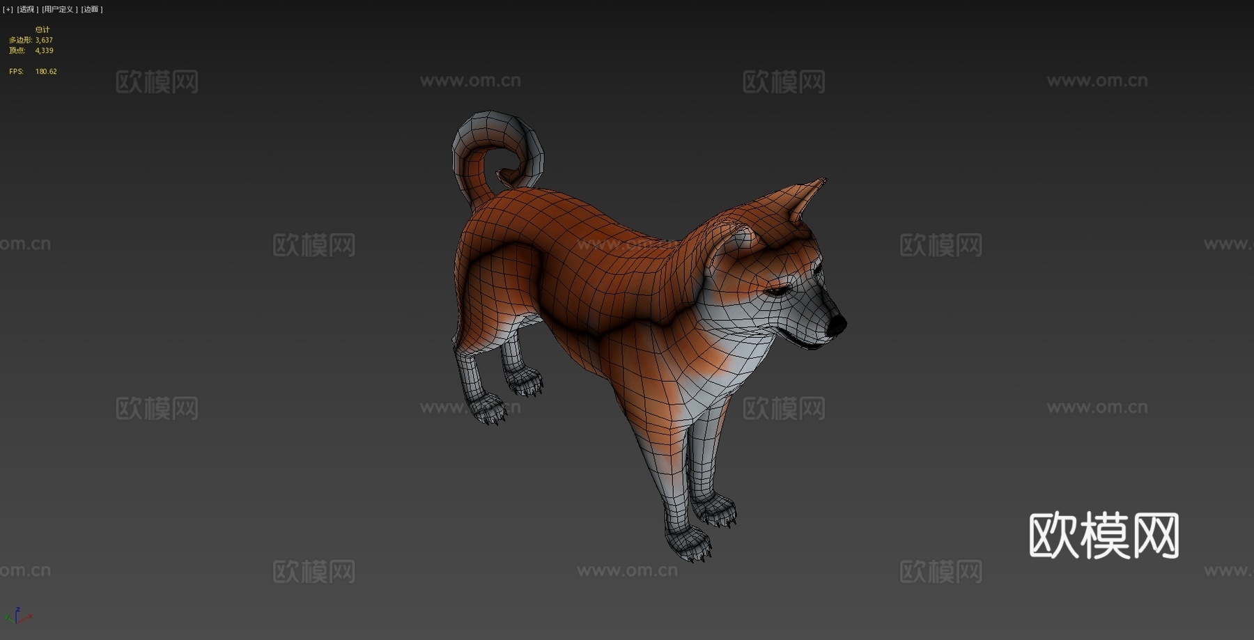 秋田犬3d模型