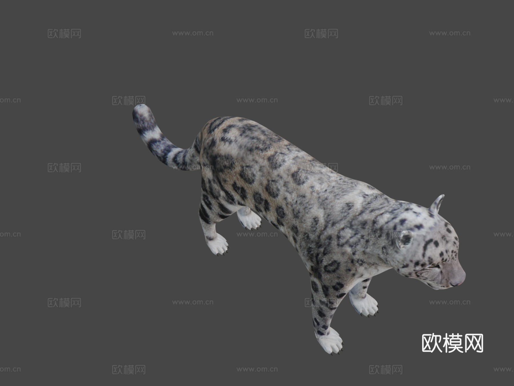 雪豹3d模型