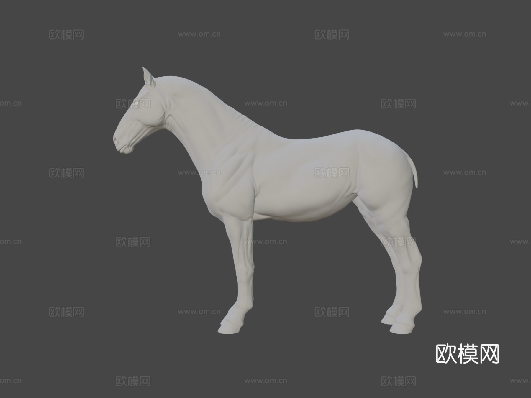 马解剖皮肤高多边形模型3d模型