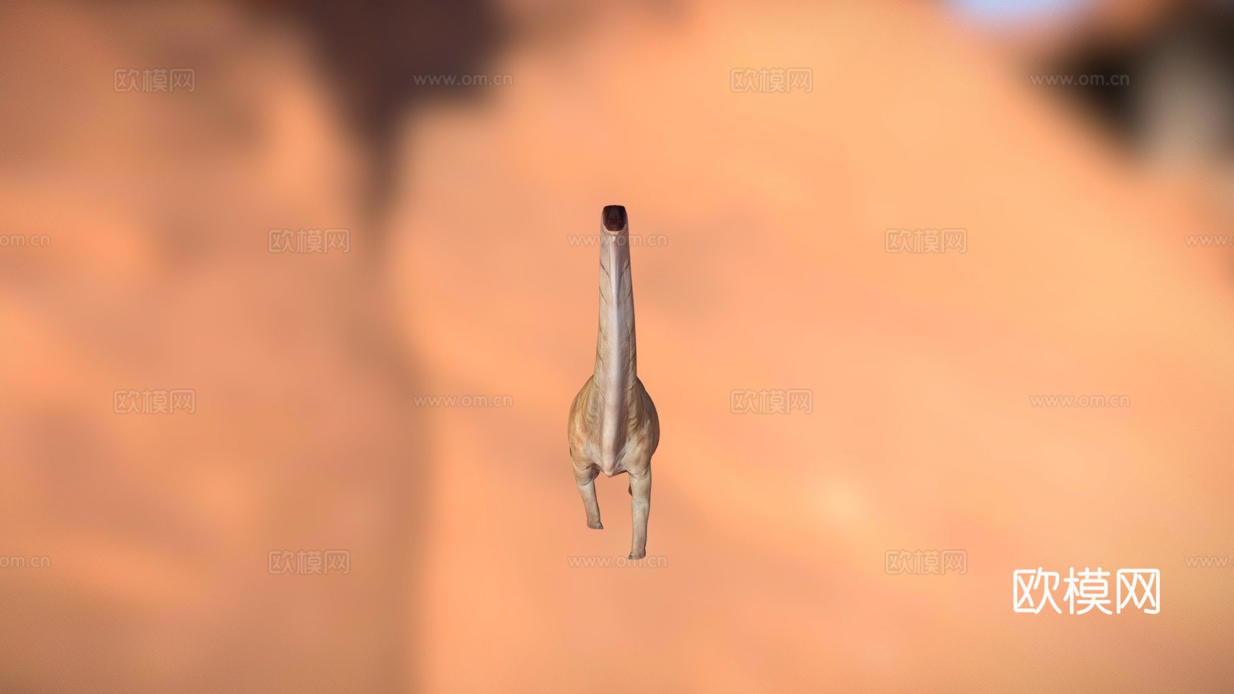 腕龙行走循环3d模型