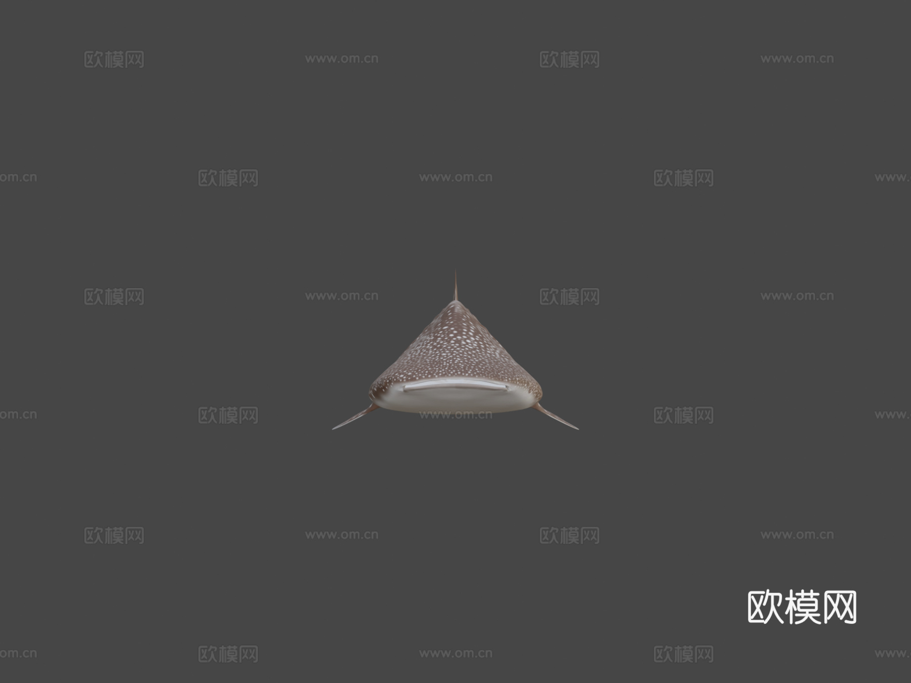 鲸鲨3d模型