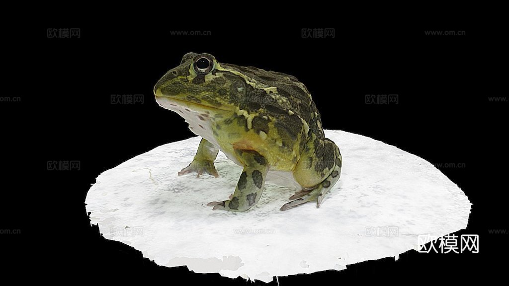 号模型-精灵蛙3d模型
