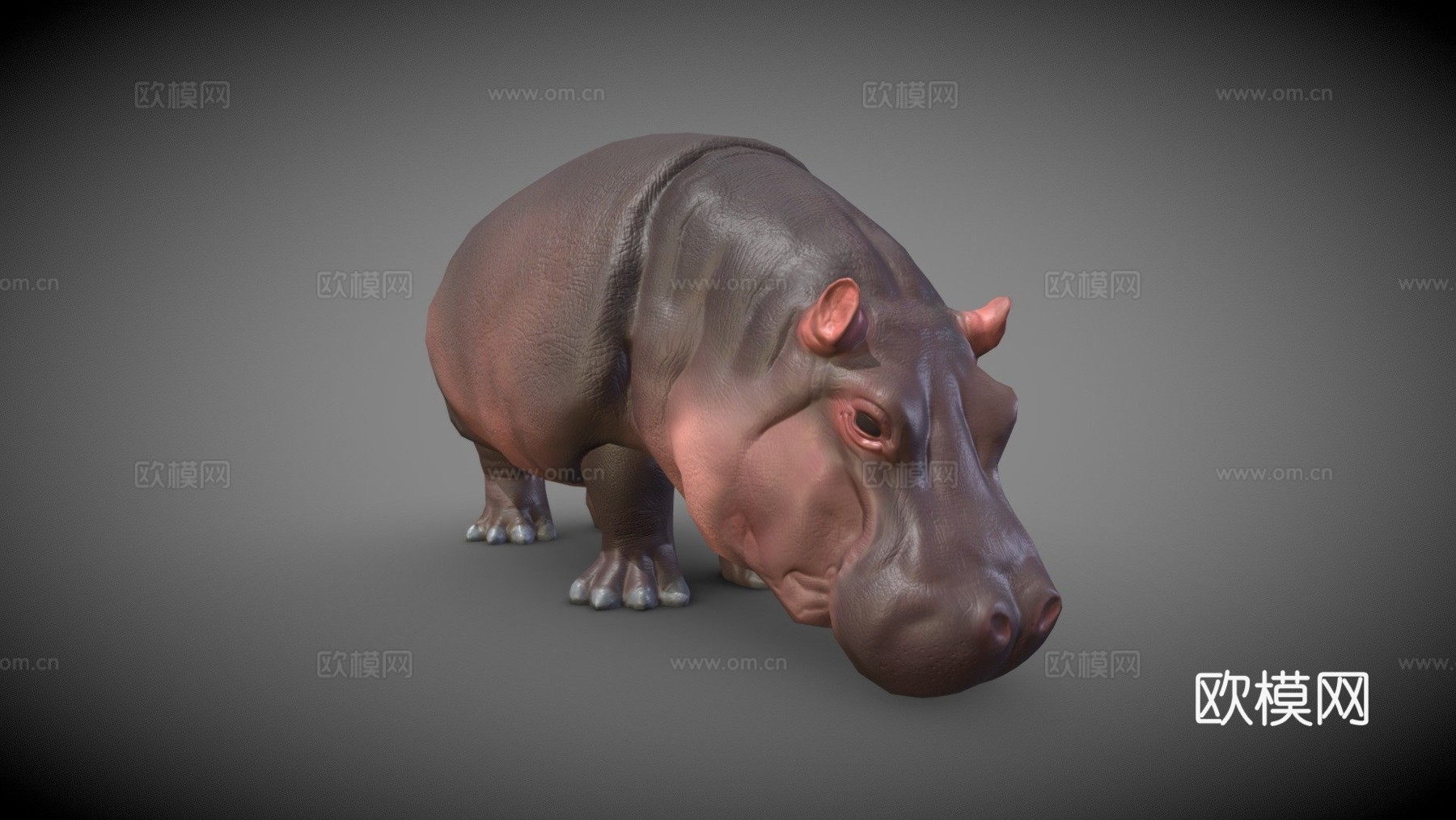 河马3d模型