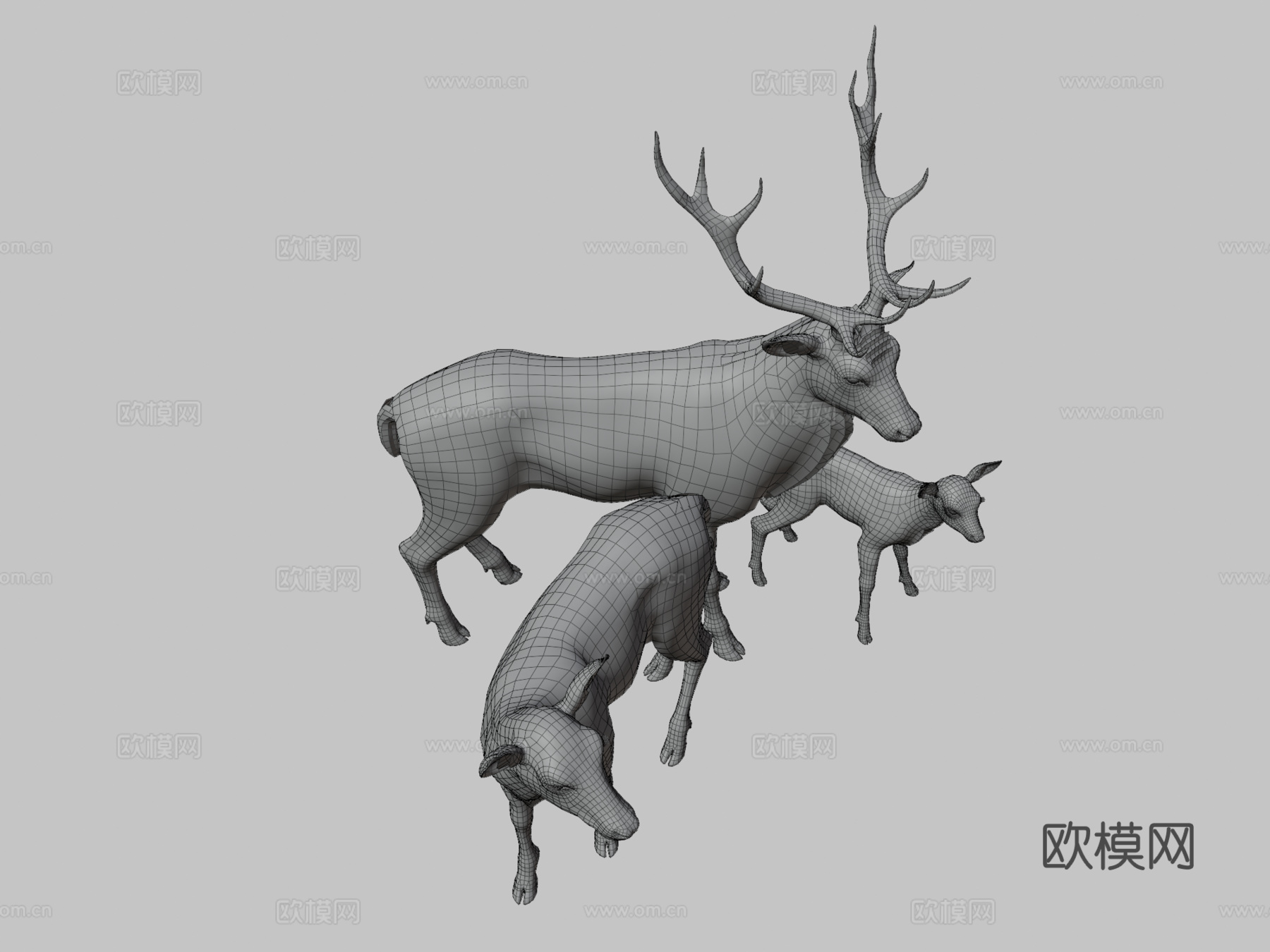 马鹿家族3d模型
